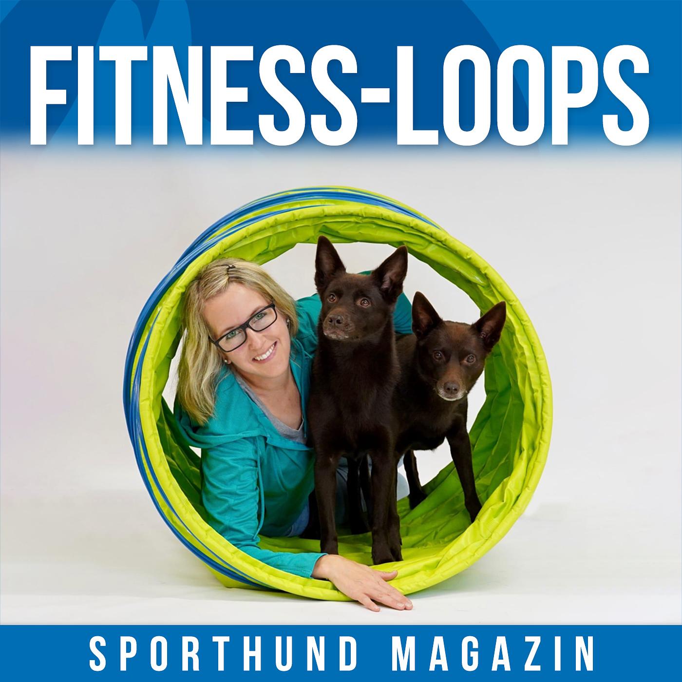#28 Fitness-Loops