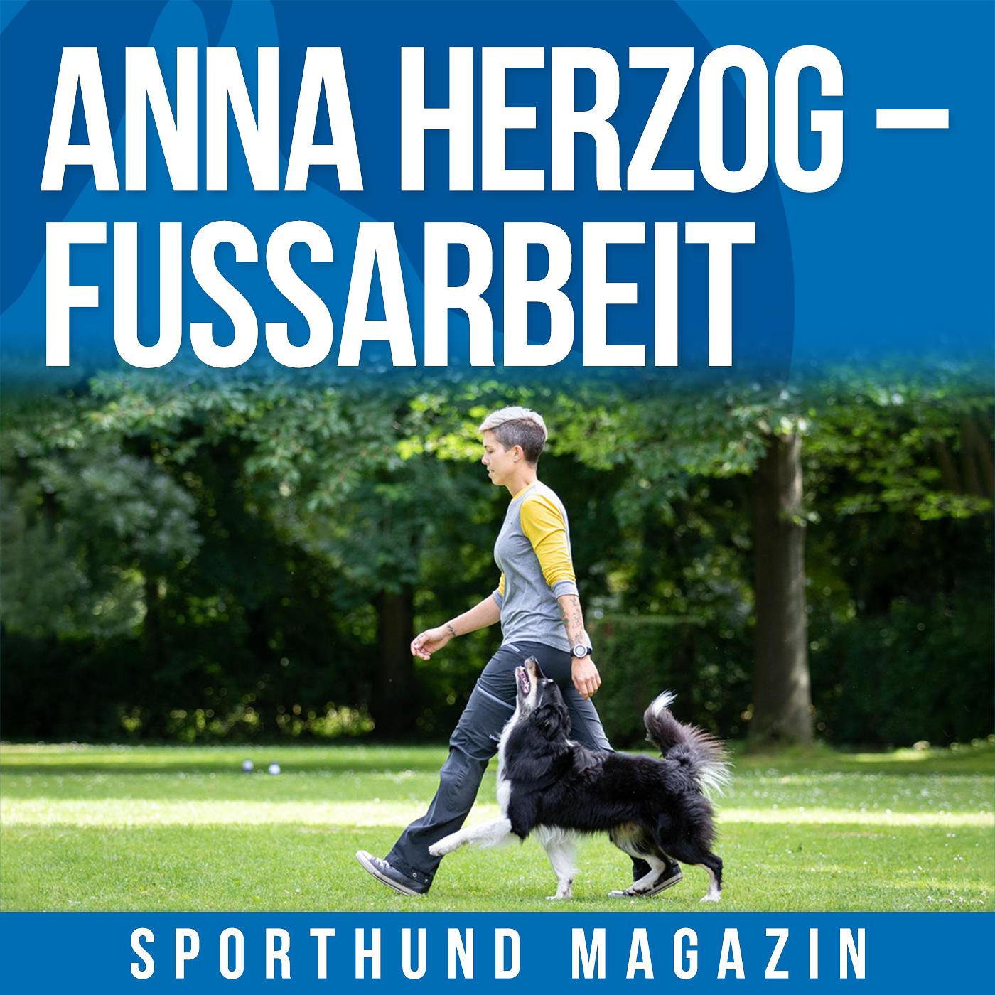 Sporthund Magazin
