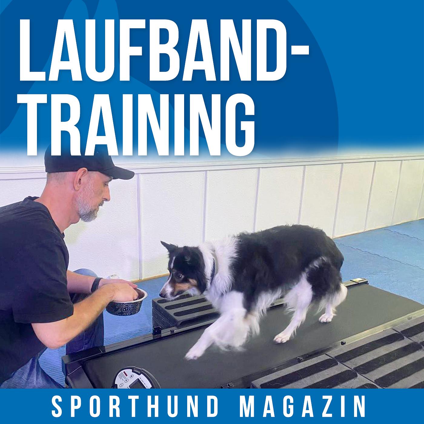#27 Laufbandtraining