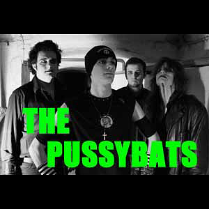 Interview mit THE PUSSYBATS episode artwork