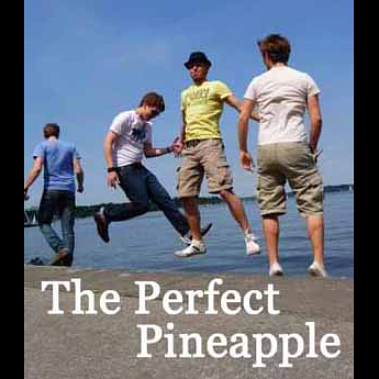 Interview mit THE PERFECT PINEAPPLE episode artwork