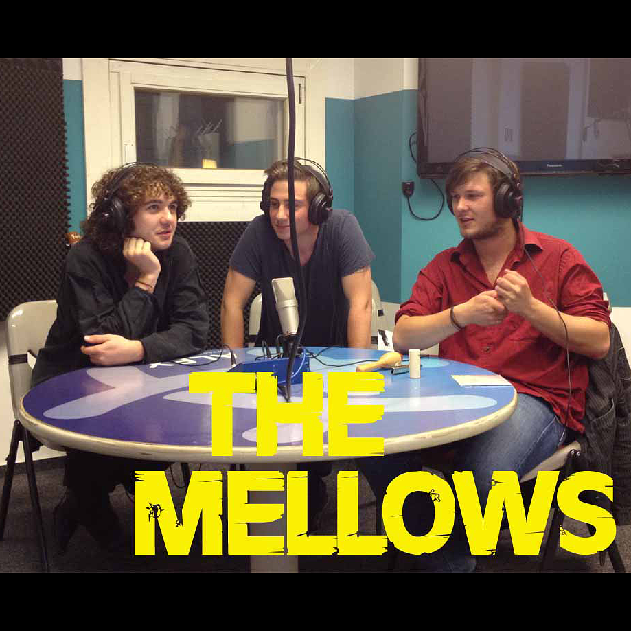 Interview mit THE MELLOWS episode artwork