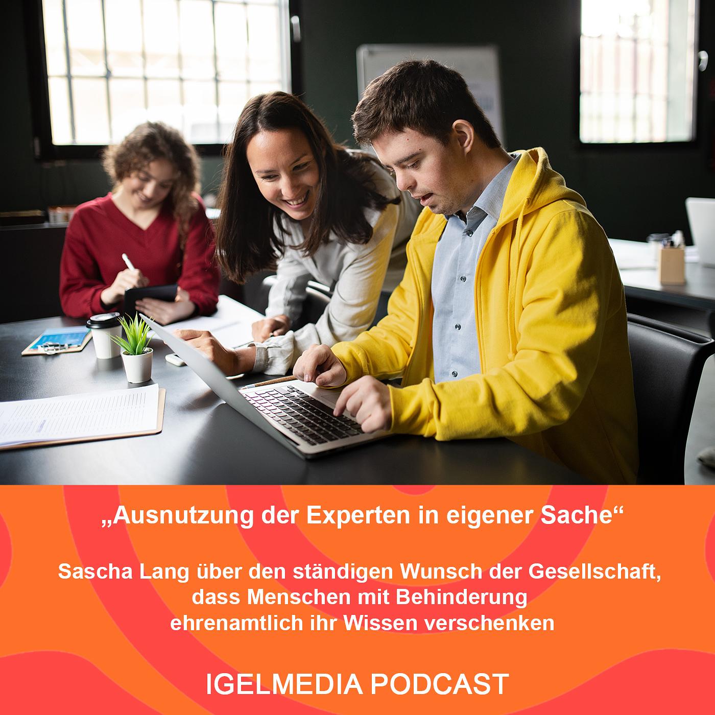 "Ausnutzung der Experten in Eigener Sache" episode artwork