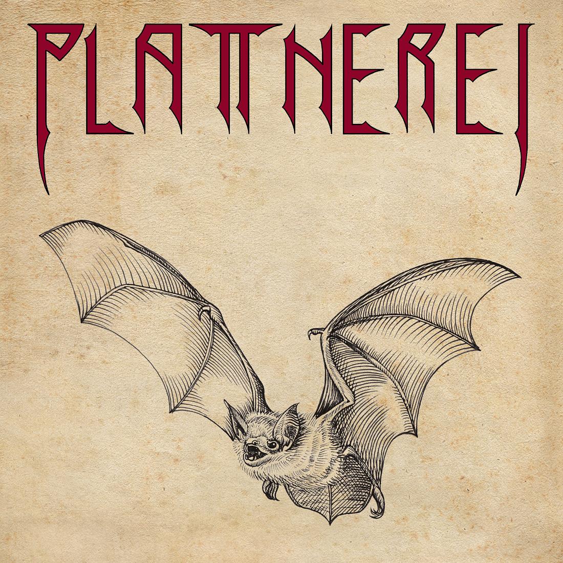 Plattnerei