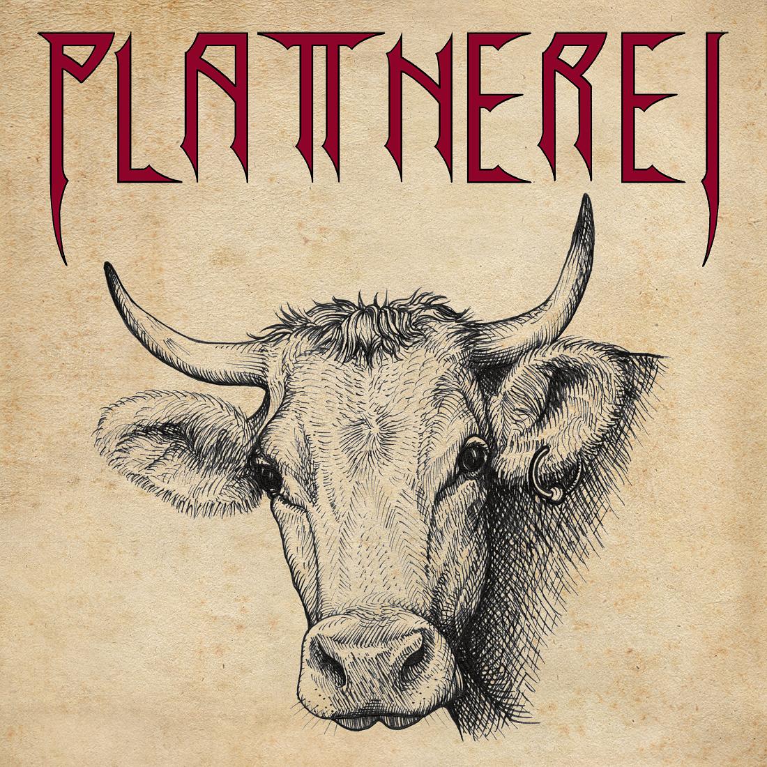 Plattnerei