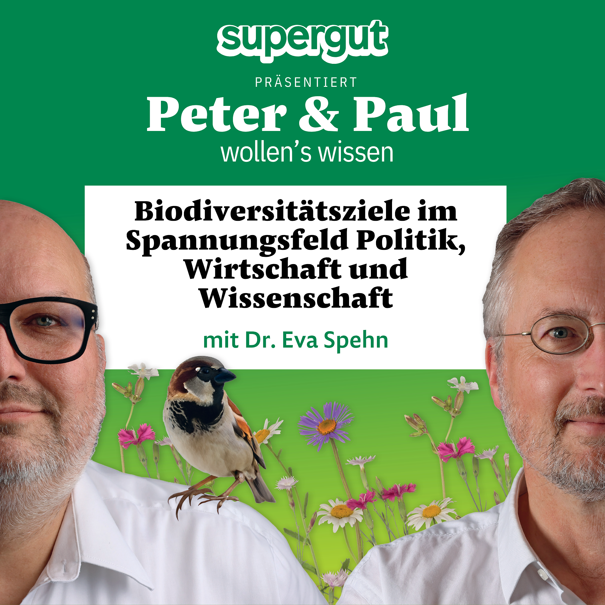 supergut präsentiert: Biodiversitätsziele im Spannungsfeld Politik, Wirtschaft und Wissenschaft episode artwork