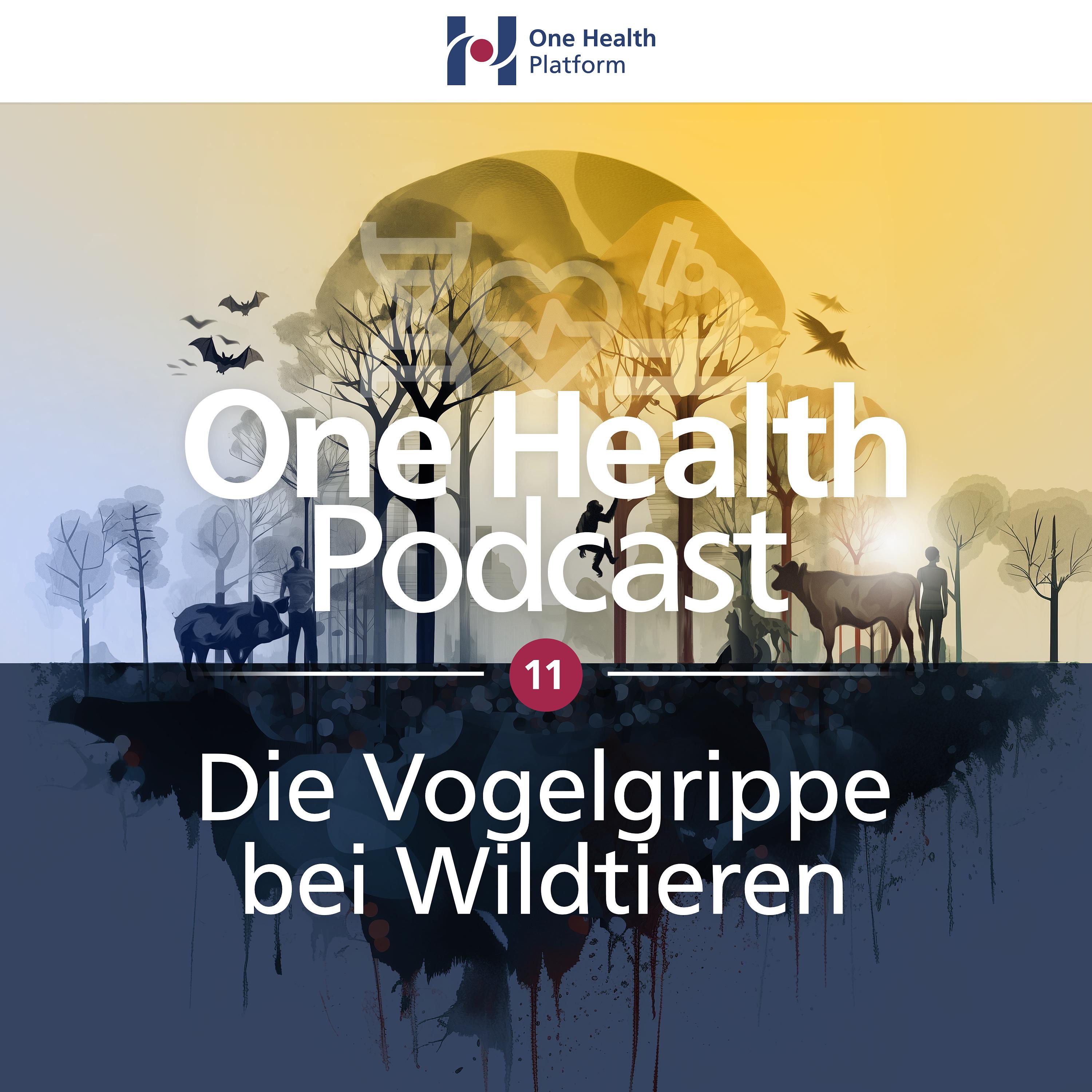 One Health Podcast