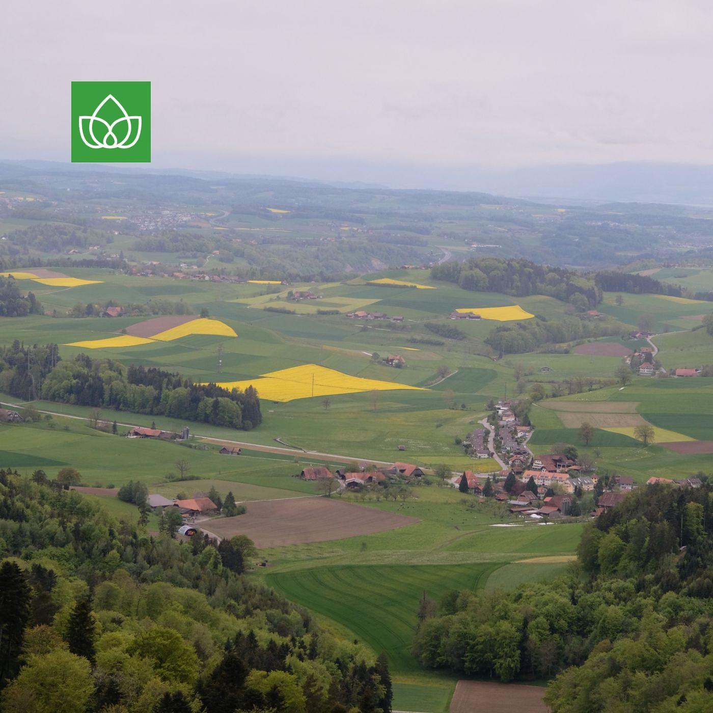 Die Schweiz ist grün, vielleicht zu grün. Über Biodiversitätsstrategien episode artwork