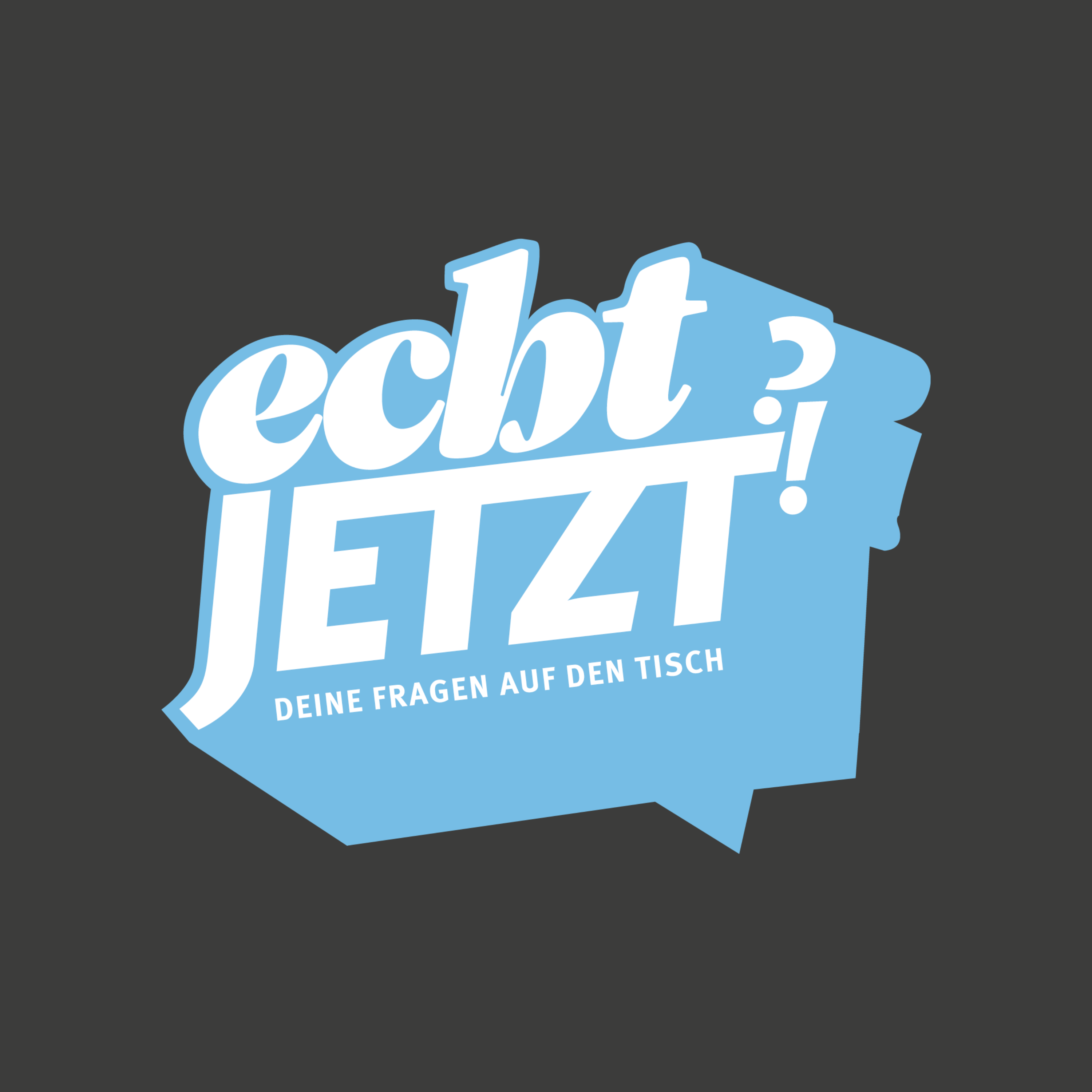 Artwork for ECHT JETZT?!