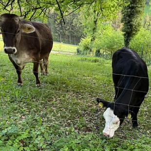 Über Tiktok's Reden, die 5A Part 2 Über Tiktok's Reden, die 5A Part 2