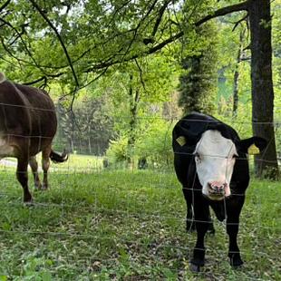 Mit Jugendlichen über TikTok's reden Mit Jugendlichen über TikTok's reden