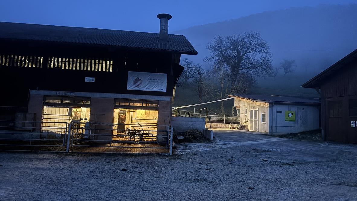 Grossmütter und medienfreie Räume Grossmütter und medienfreie Räume