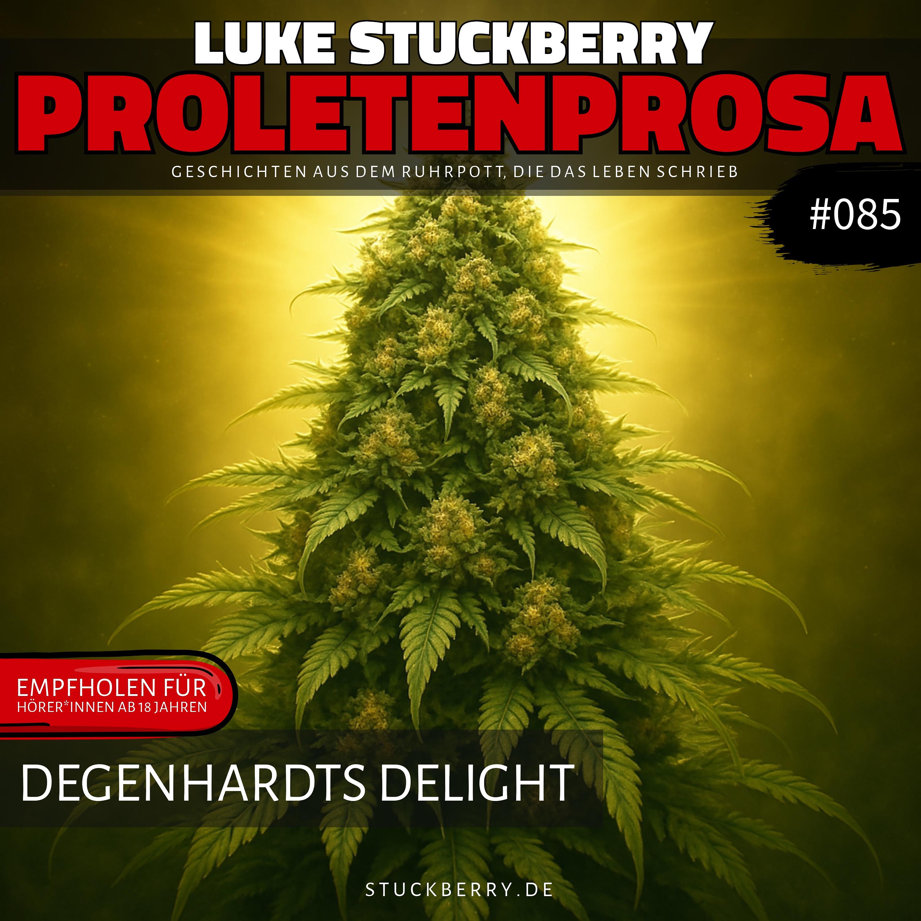 Degenhardts Delight – oder die Wiedergeburt eines Spießers episode artwork