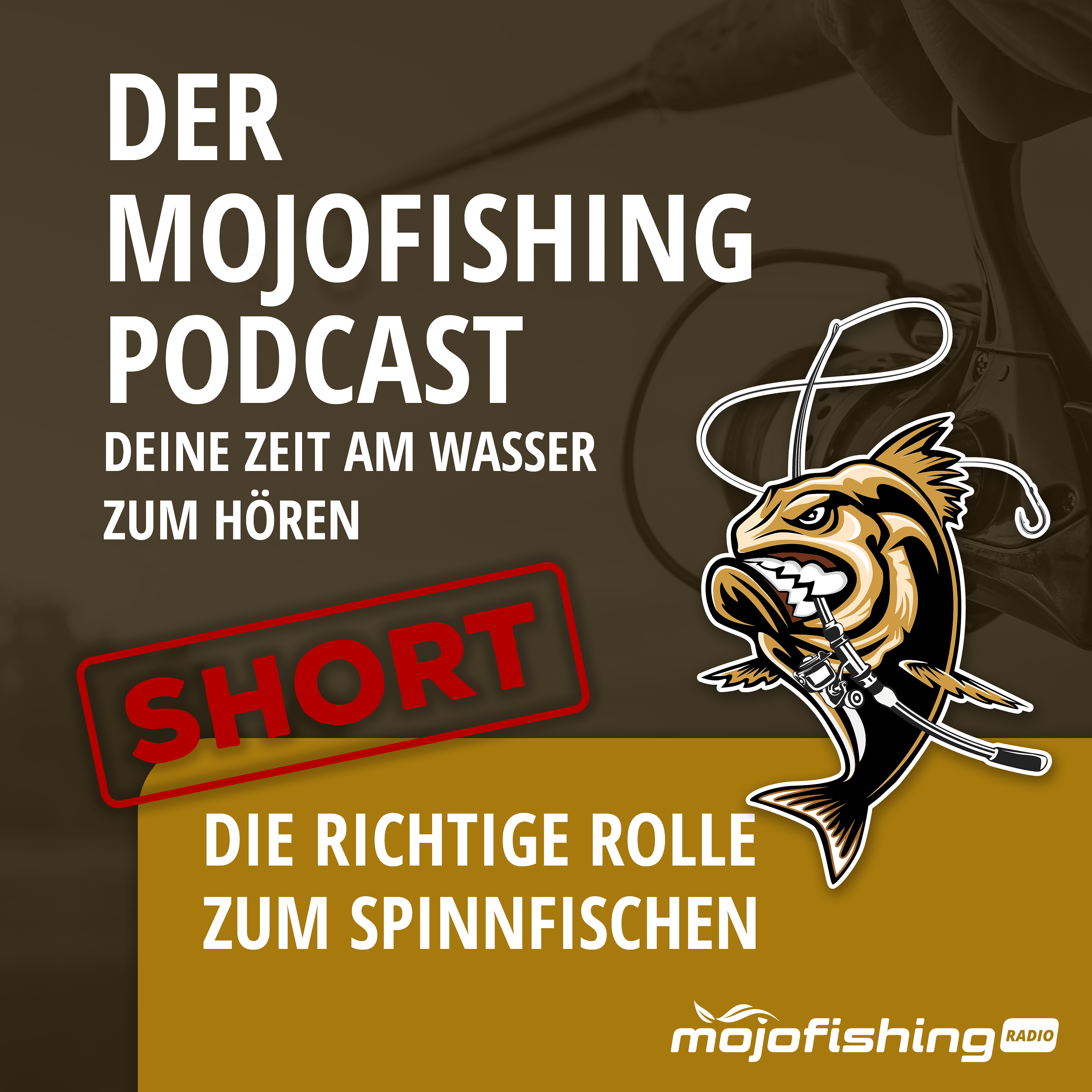 Mojofishing Angel-Podcast