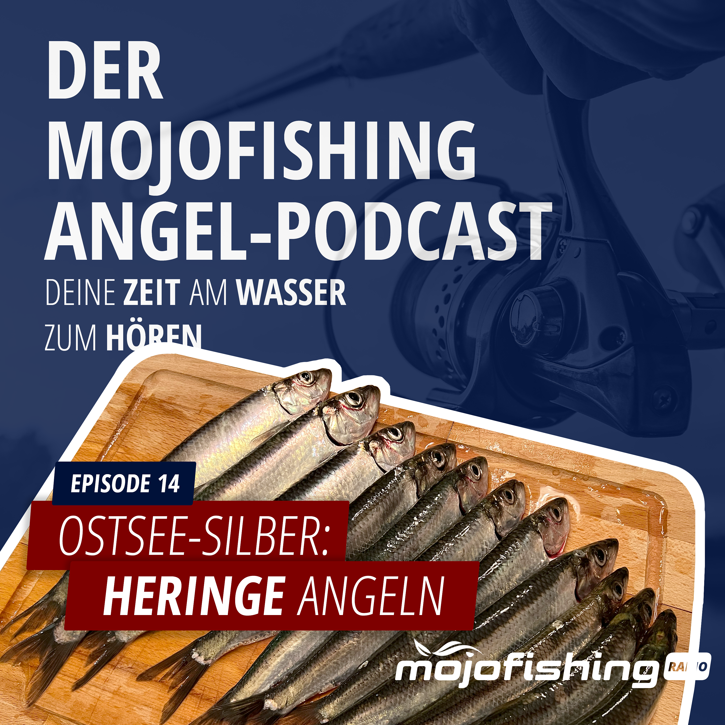 Mojofishing Angel-Podcast
