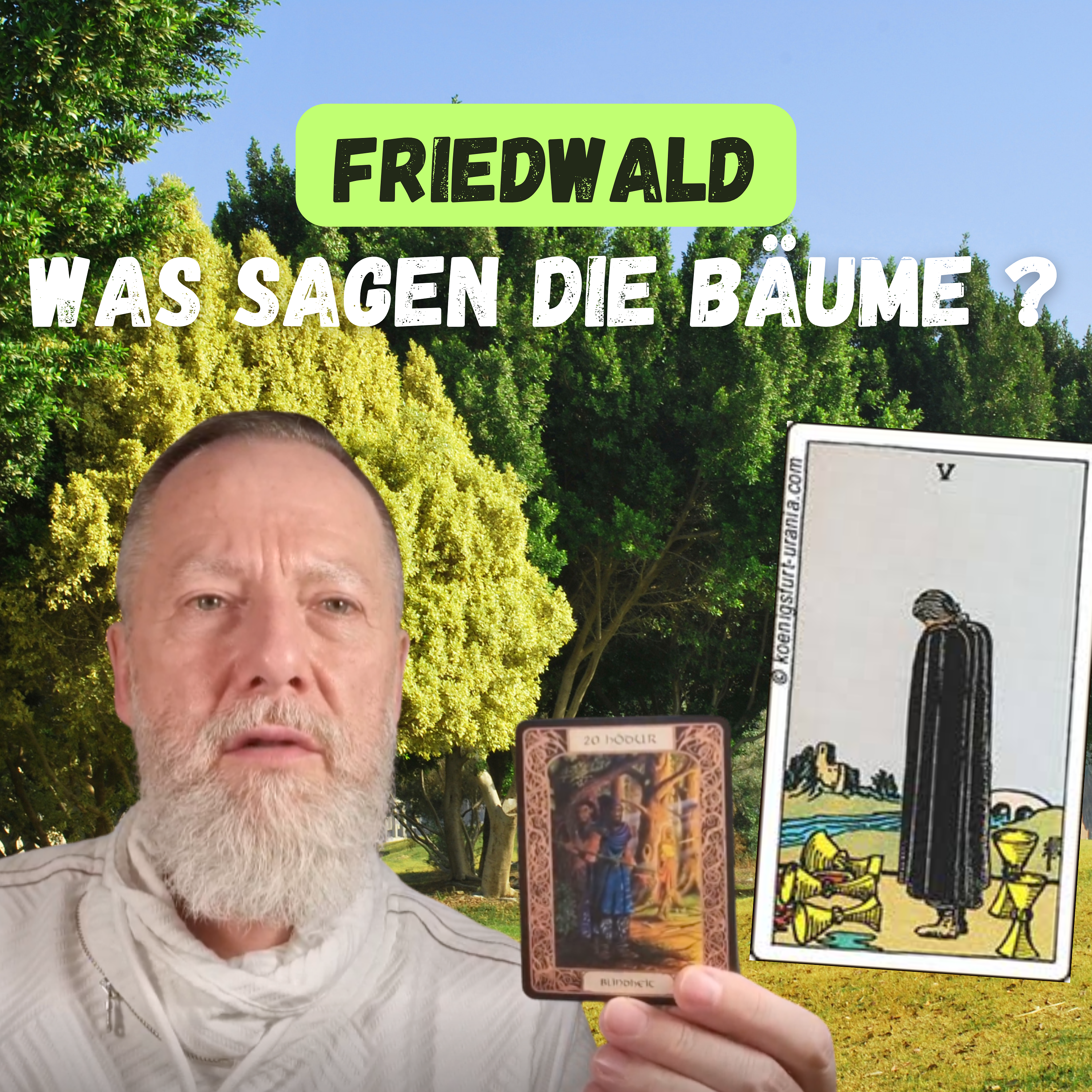 Friedwald: Was erzählen uns die Bäume über neue Begräbnisse? Friedwald: Was erzählen uns die Bäume über neue Begräbnisse?