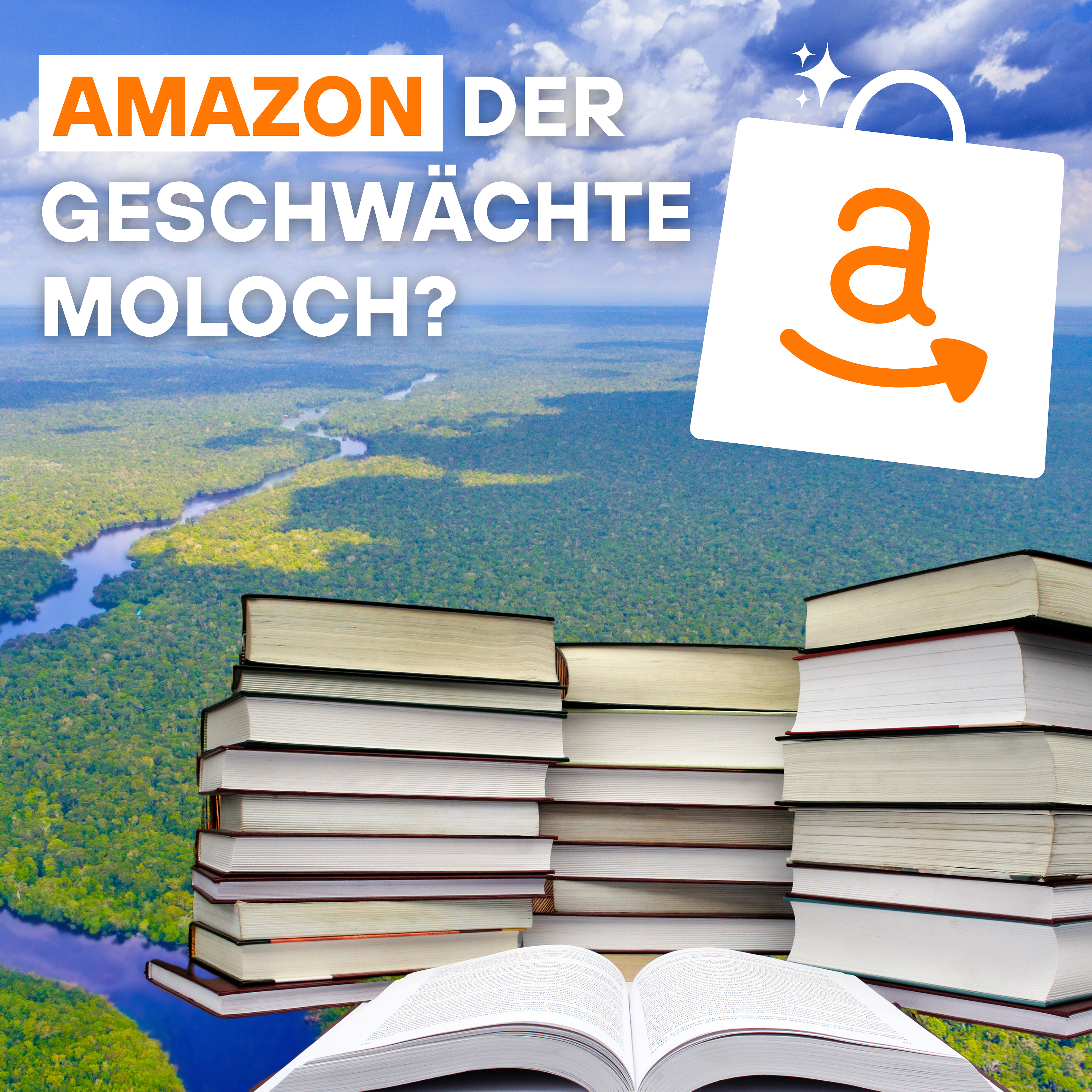 Amazon der geschwächte Moloch?