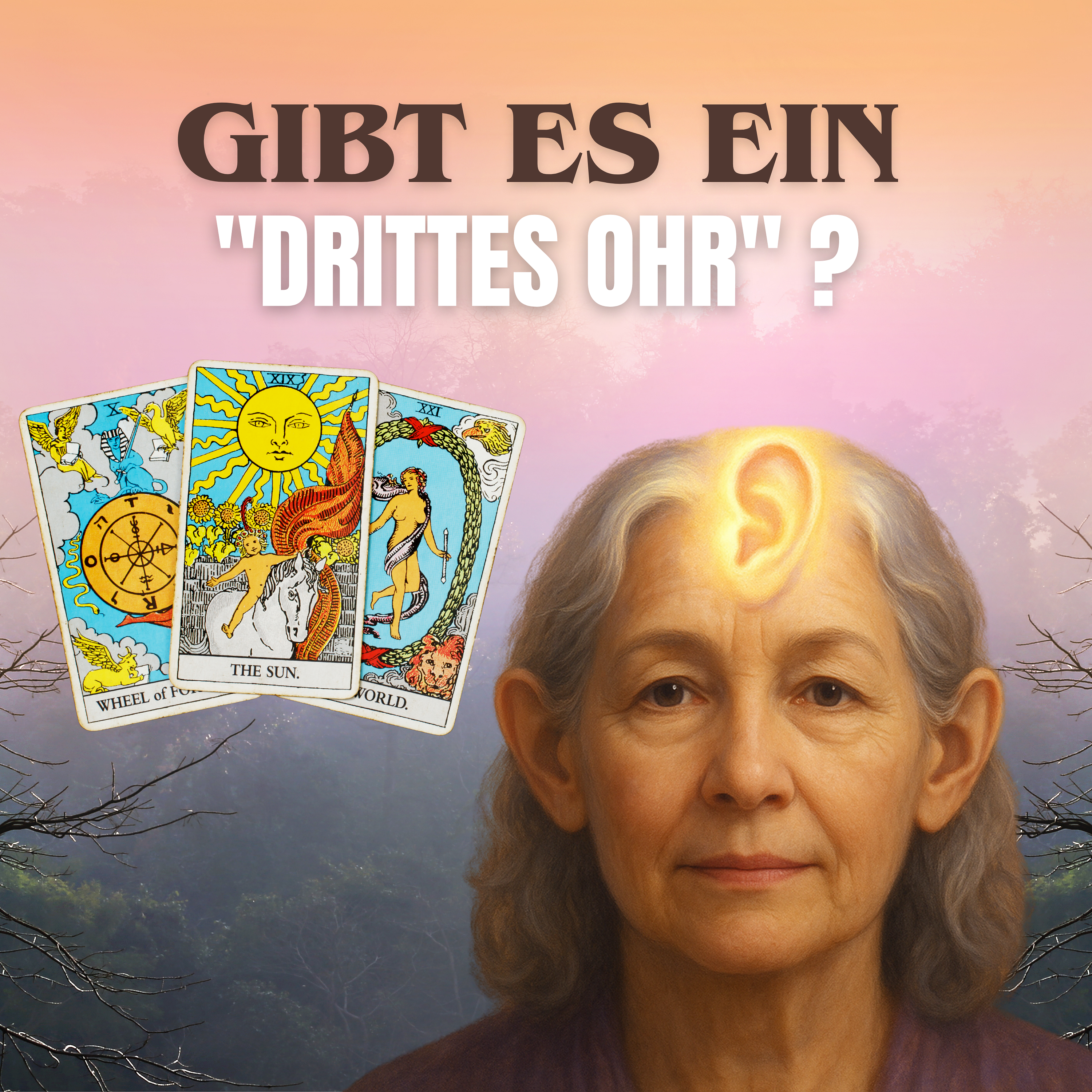Haben wir ein "Drittes Ohr"? Unerwartete Fähigkeiten unseres Gehörs entdecken episode artwork