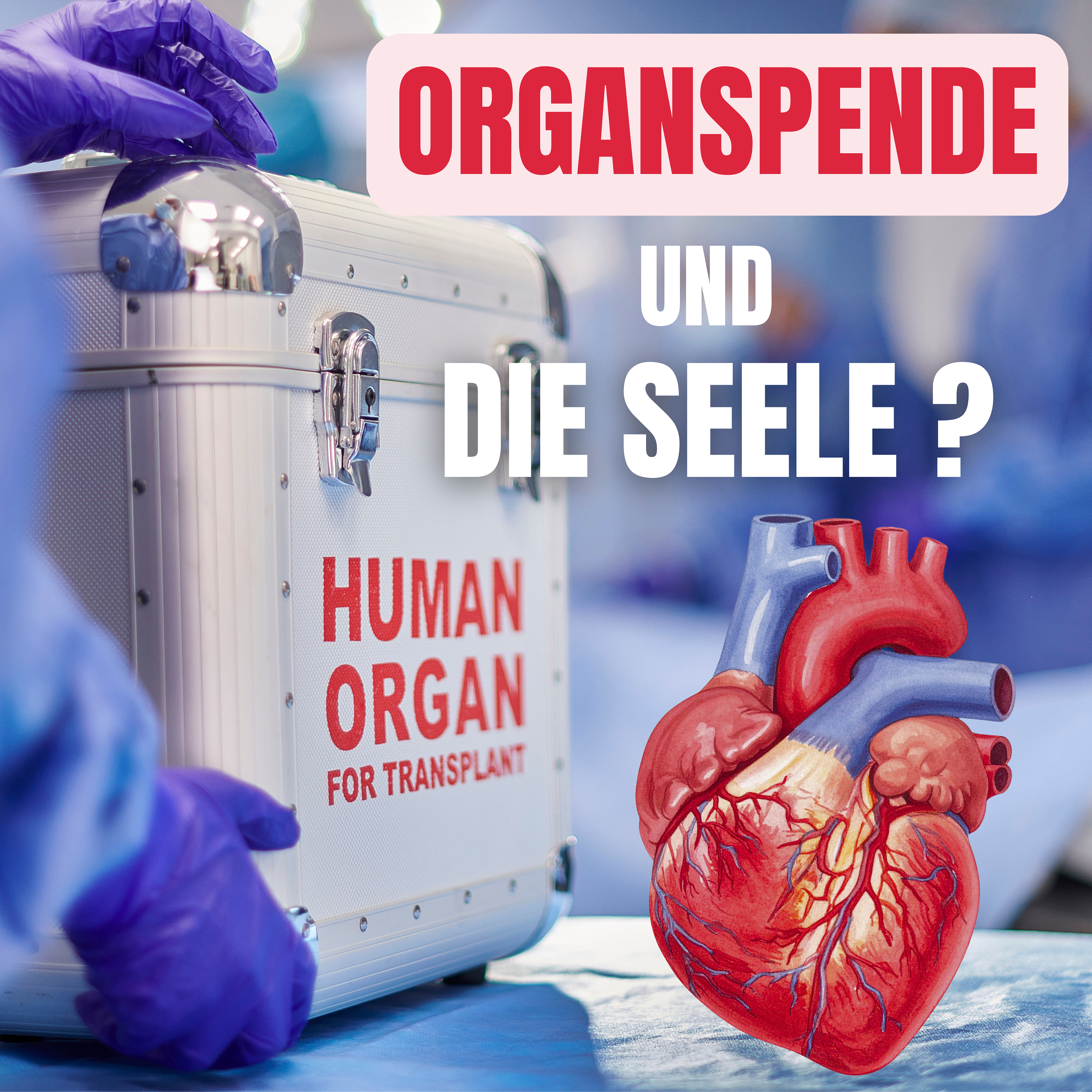 Organspende und die Seele: Welche Auswirkungen hat sie wirklich auf uns? episode artwork