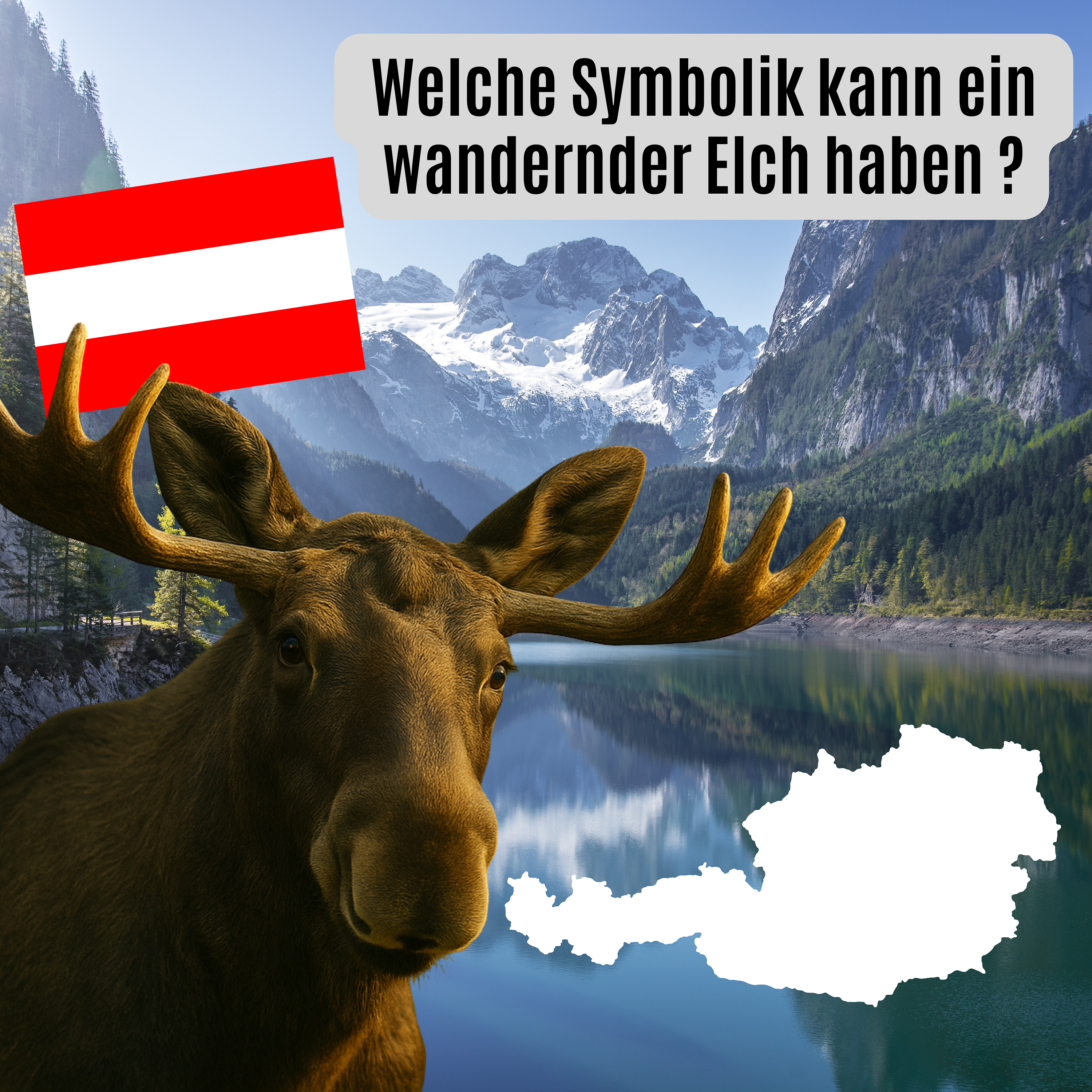 Welche Symbolik kann ein wandernder Elch haben? episode artwork