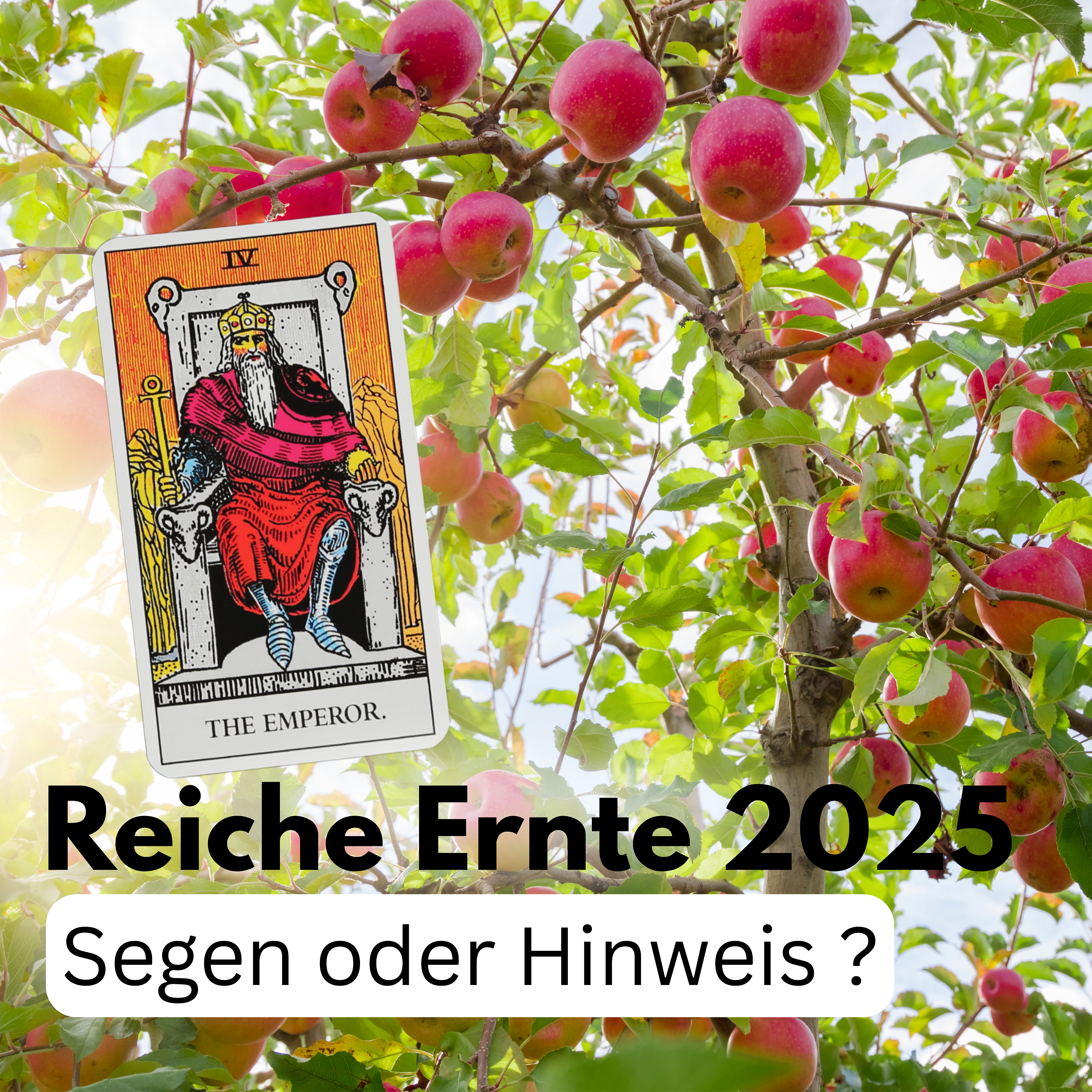 Reiche Ernte 2025 Segen oder Hinweis?