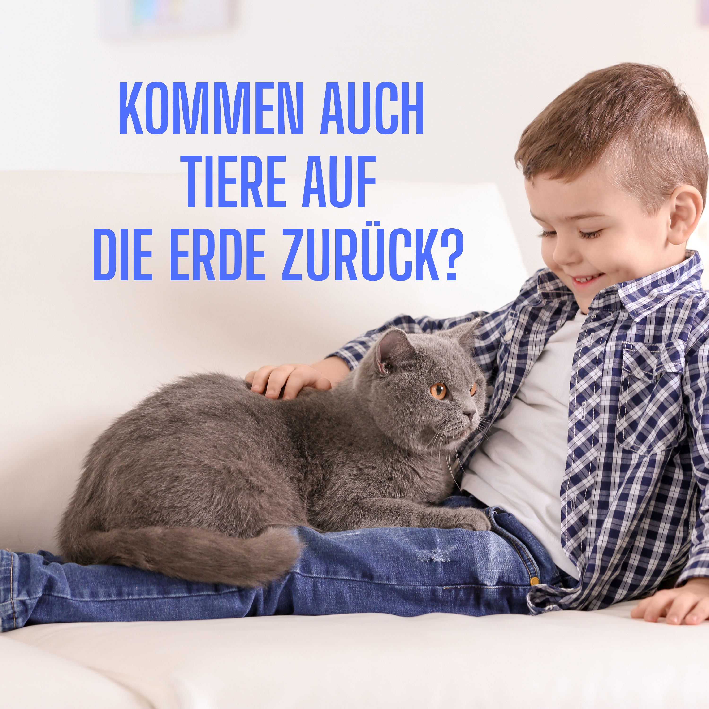 Kommen Tiere nach dem Tod wieder zu uns? Bewegende Antworten auf eine alte Frage episode artwork