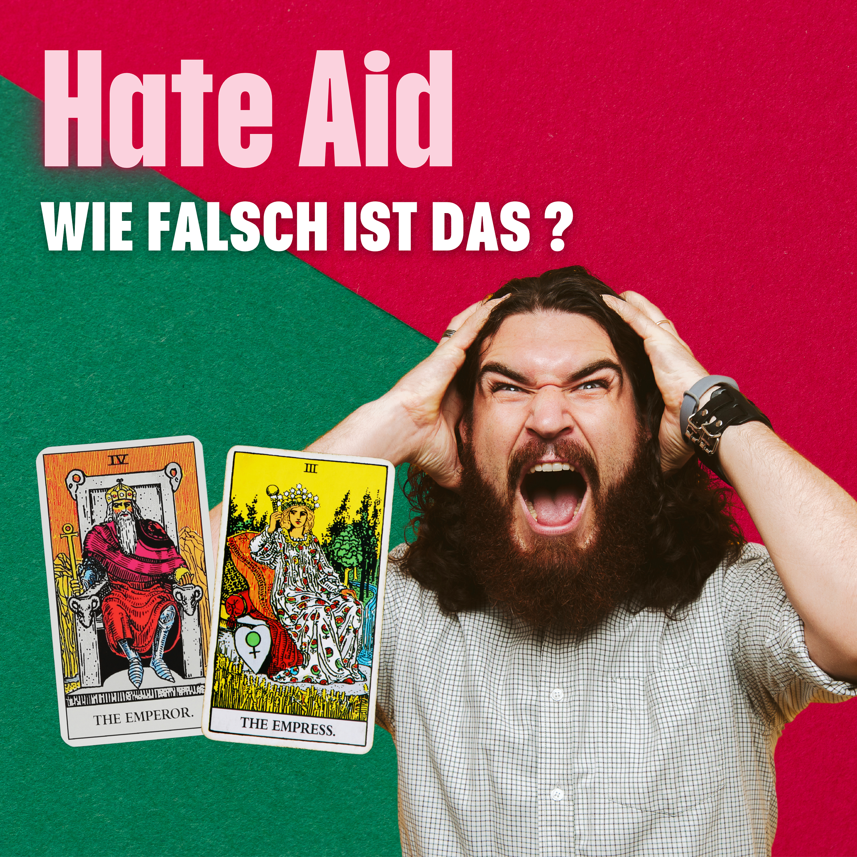 Hate Aid: Wie neutral sind diese steuerfinanzierten Organisationen wirklich? episode artwork