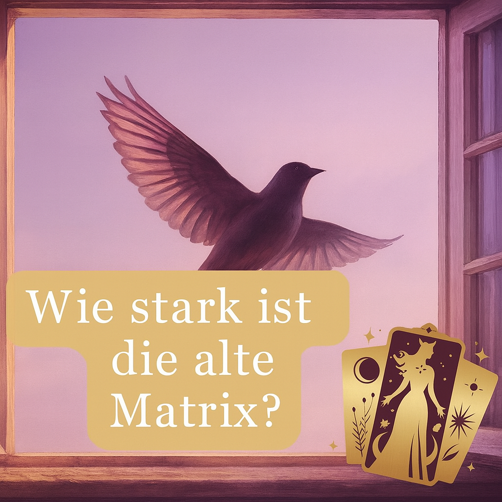 Wie stark ist die alte Matrix? Kommt gar eine Neuauflage? episode artwork