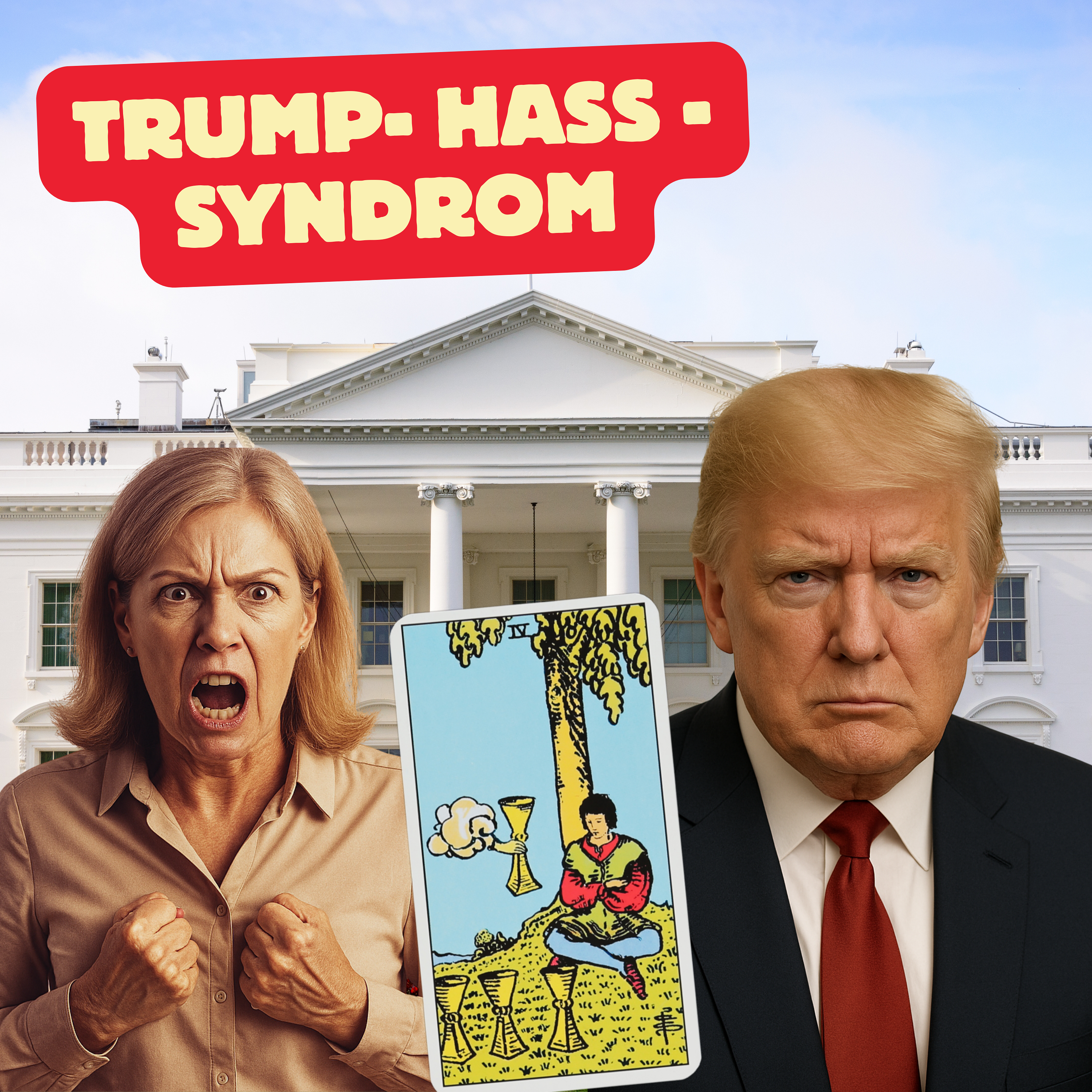 Das Trump - Haß - Syndrom episode artwork