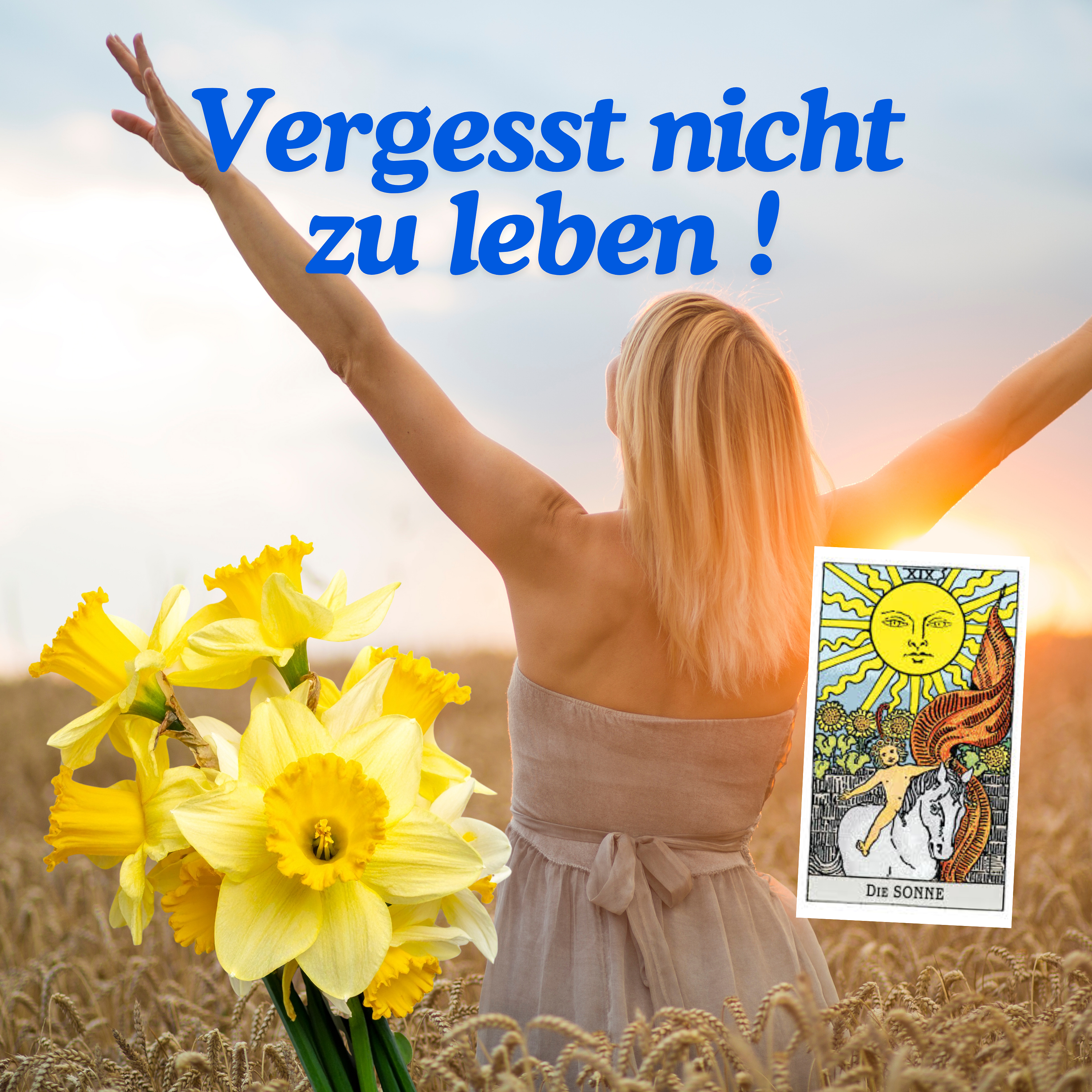 Vergessen Sie nicht zu leben: Erinnerungen an das Wesentliche im Alltag Vergessen Sie nicht zu leben: Erinnerungen an das Wesentliche im Alltag