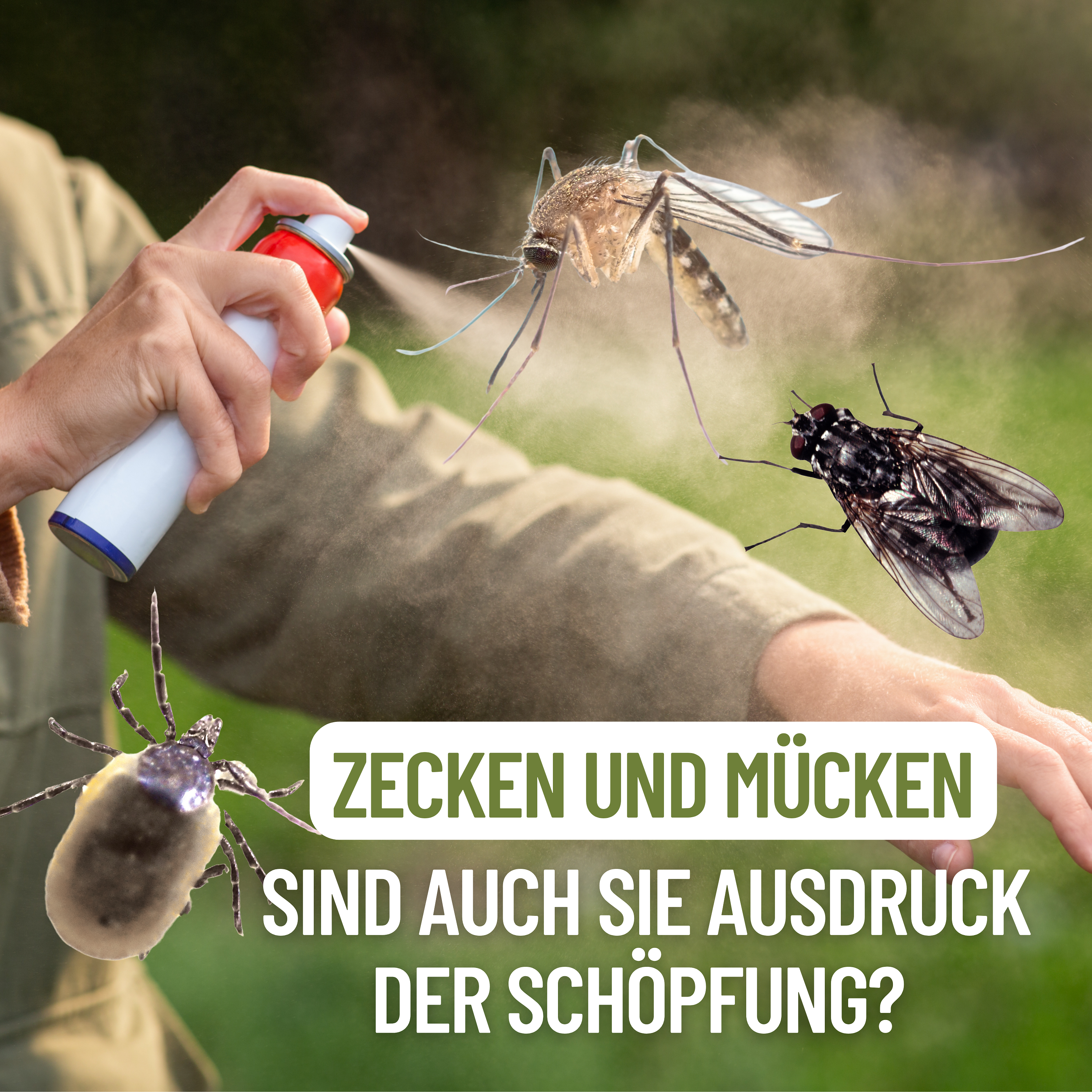 Zecken und Mücken. Sind auch sie Ausdruck der Schöpfung?