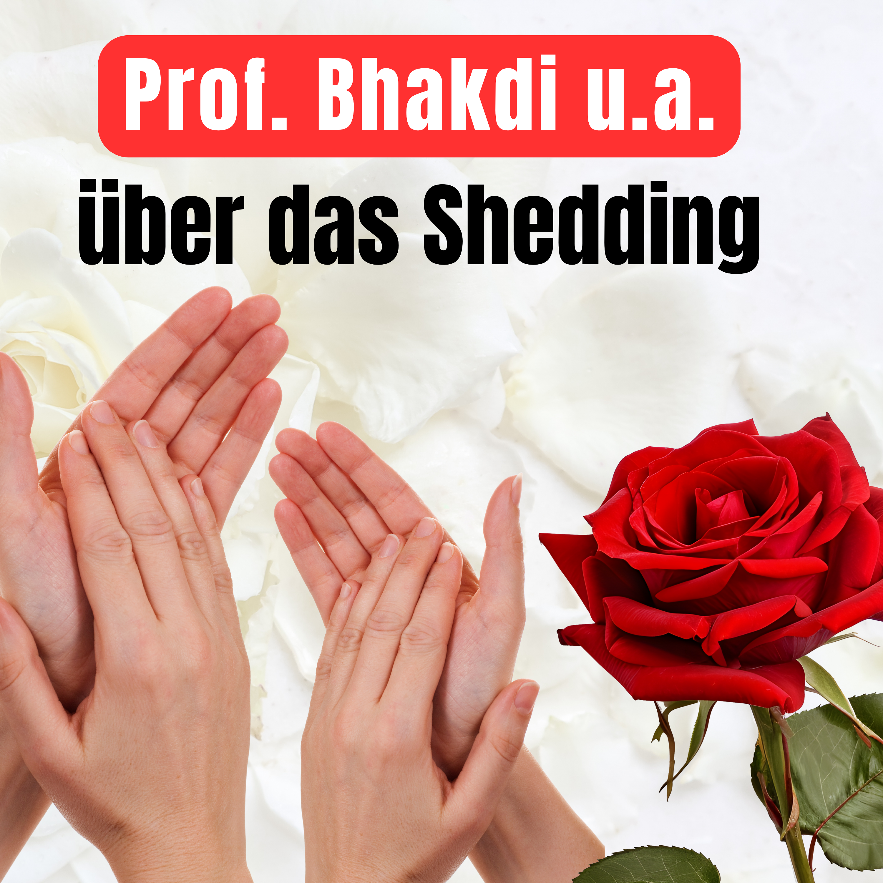 Prof. Bhakdi und das Shedding – Mein Dank & persönliche Gedanken episode artwork