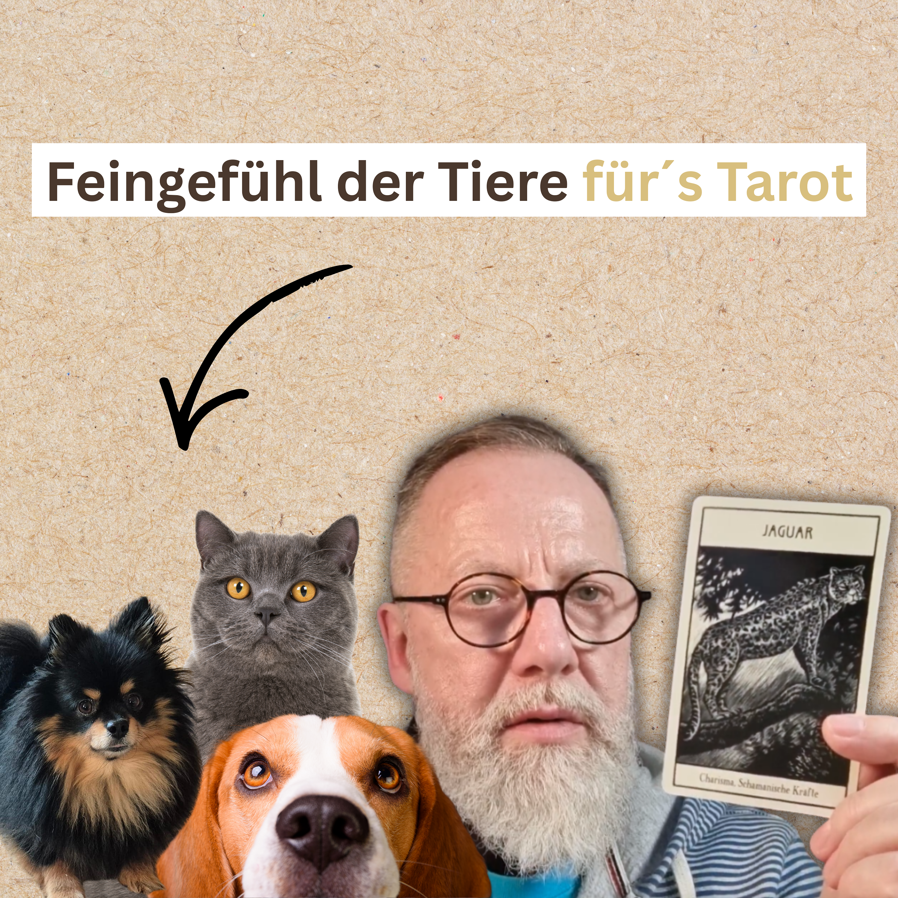 schwangerschaft, gesellschaft, meinung, fakten, männer, wandel, kritik, diskussion, woke, realität, bewusstsein, tarot, psychologie, lakowski, selbsthilfe, astrologie, hilfe, kartenlegung, spiritualität, reflexion