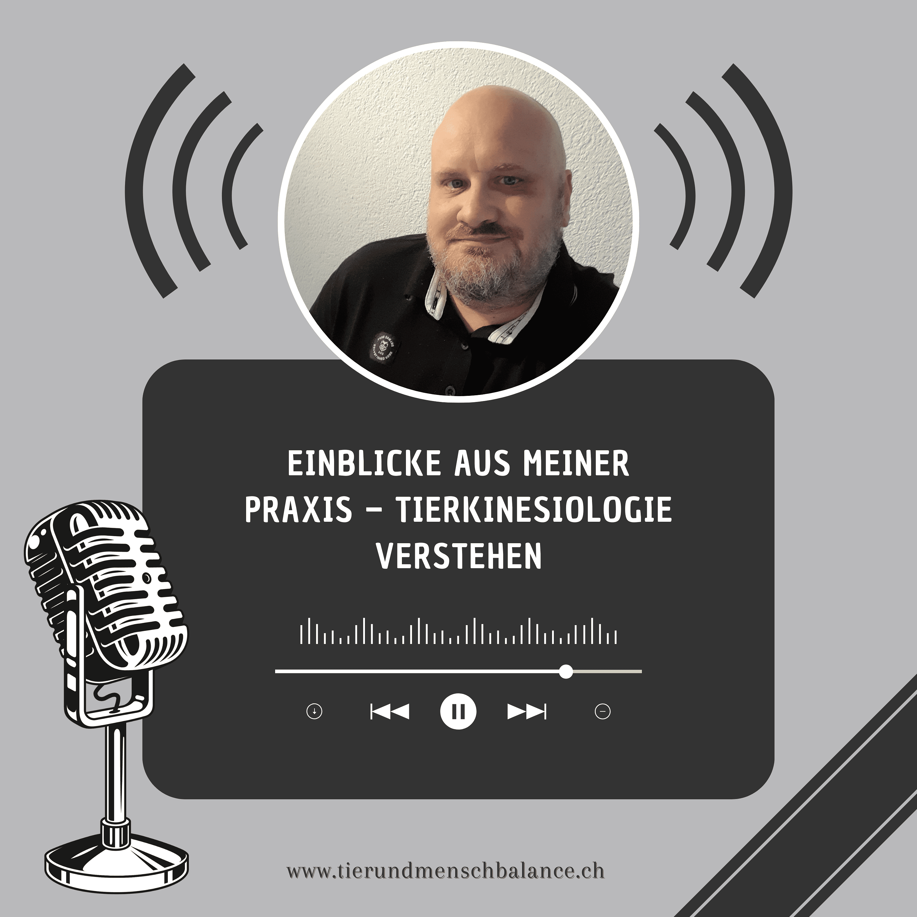 Einblicke aus meiner Praxis – Tierkinesiologie verstehen