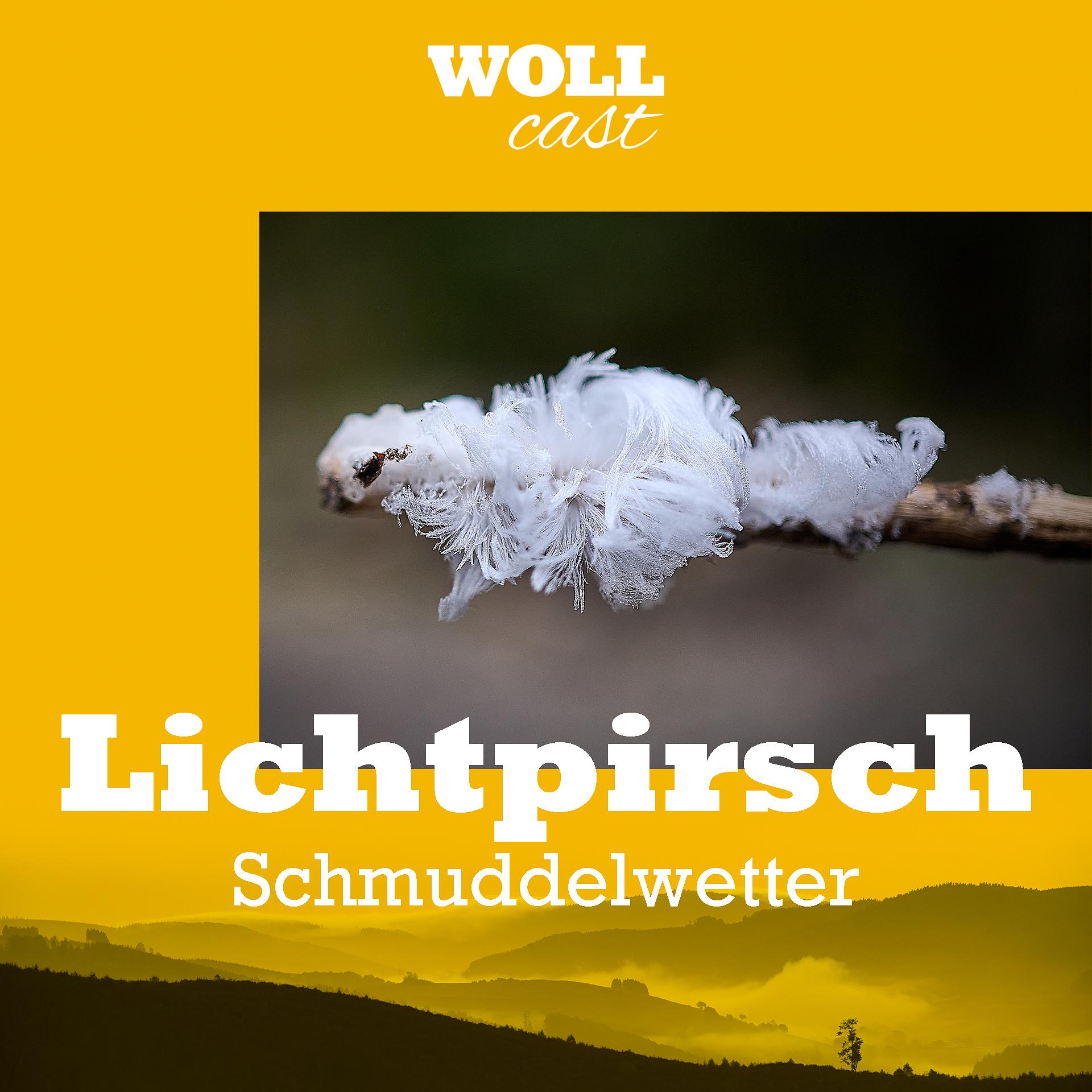 WOLLcast Lichtpirsch
