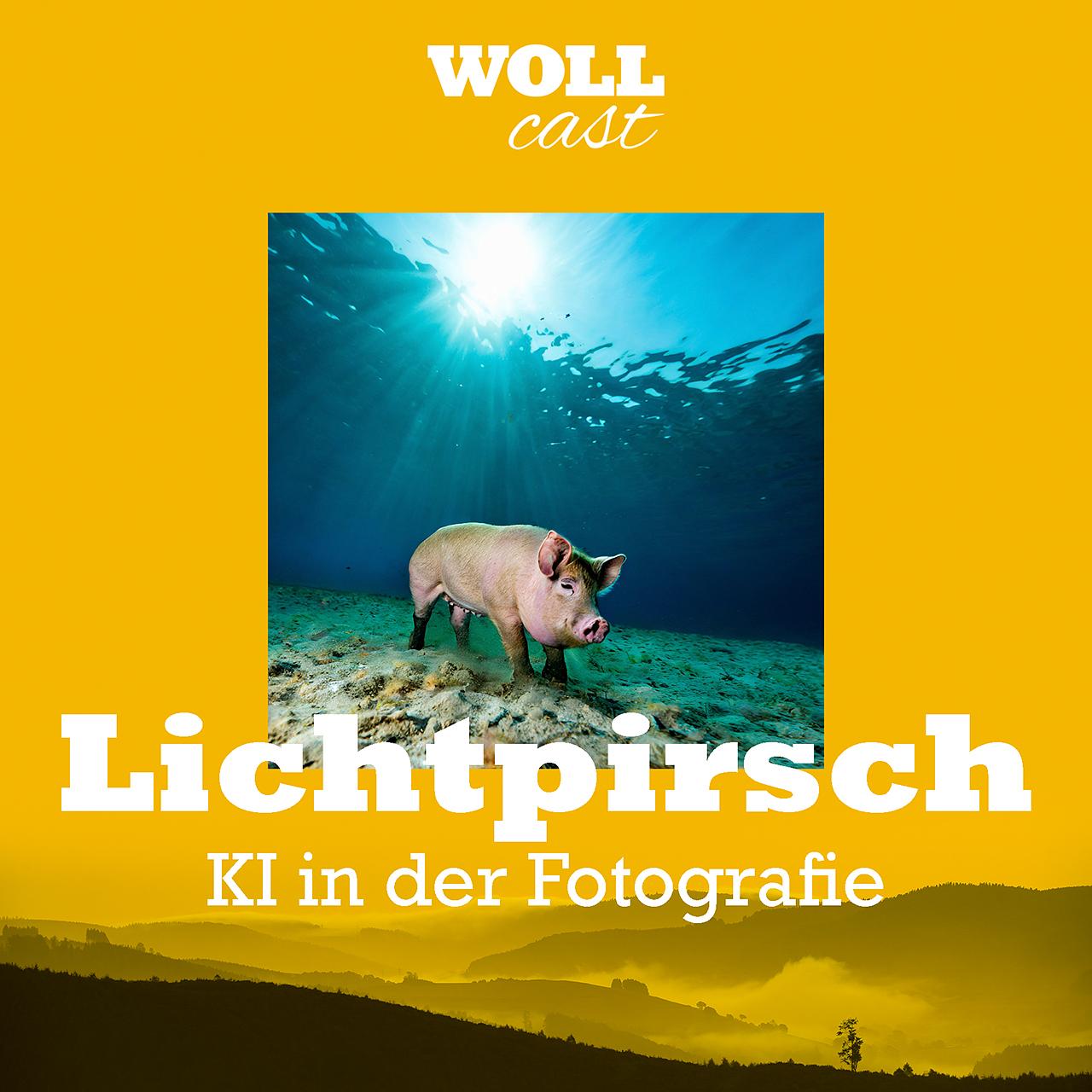 WOLLcast Lichtpirsch