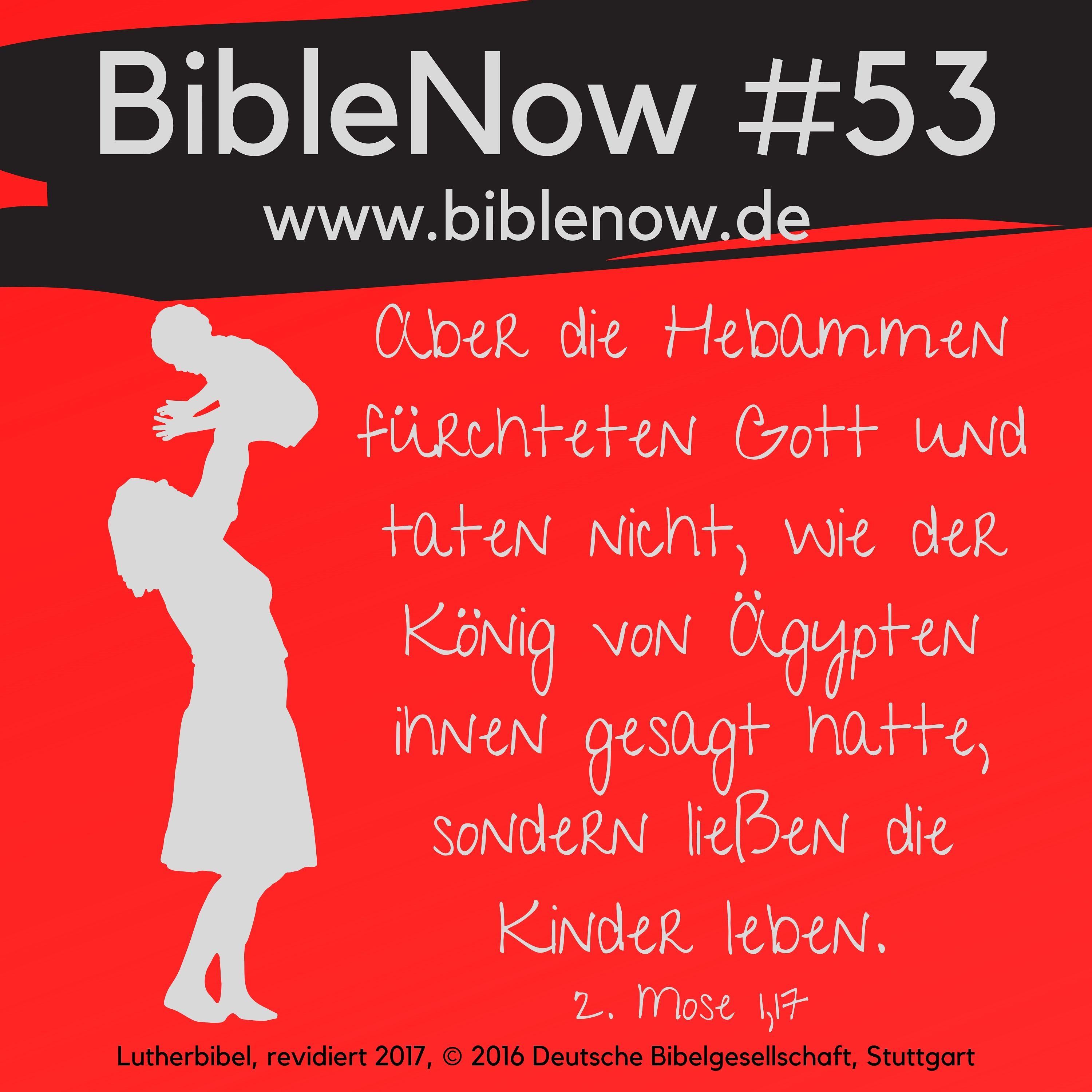 BibleNow #53: Einführung 2. Mose + 2. Mose 1,1-17 episode artwork
