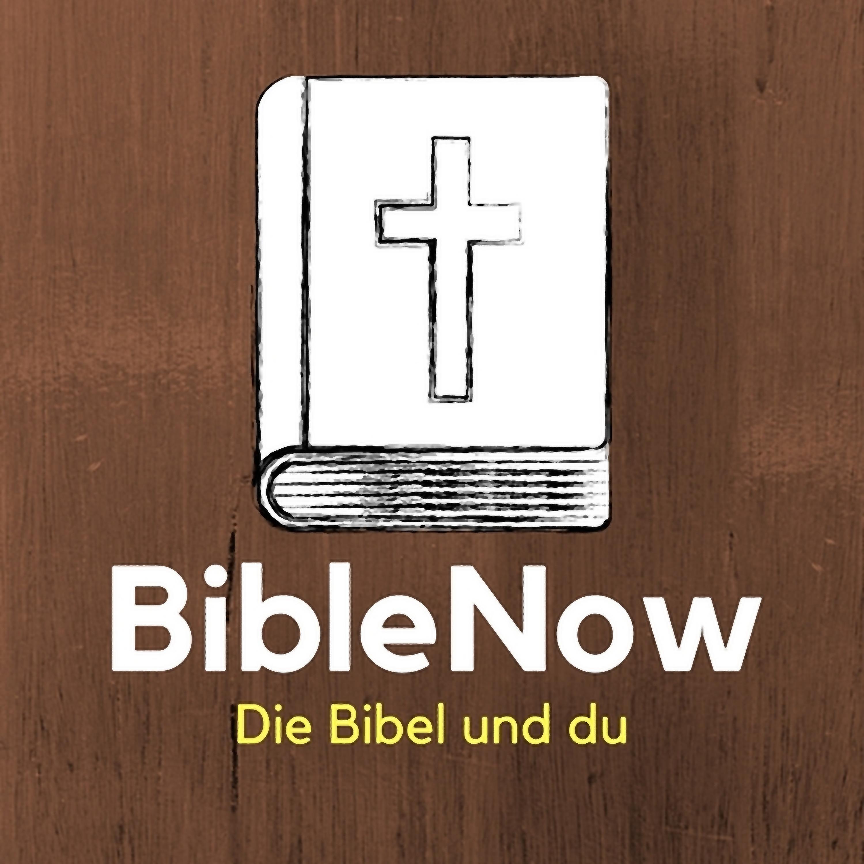 BibleNow #15: 1. Mose 10,1-11,9 episode artwork