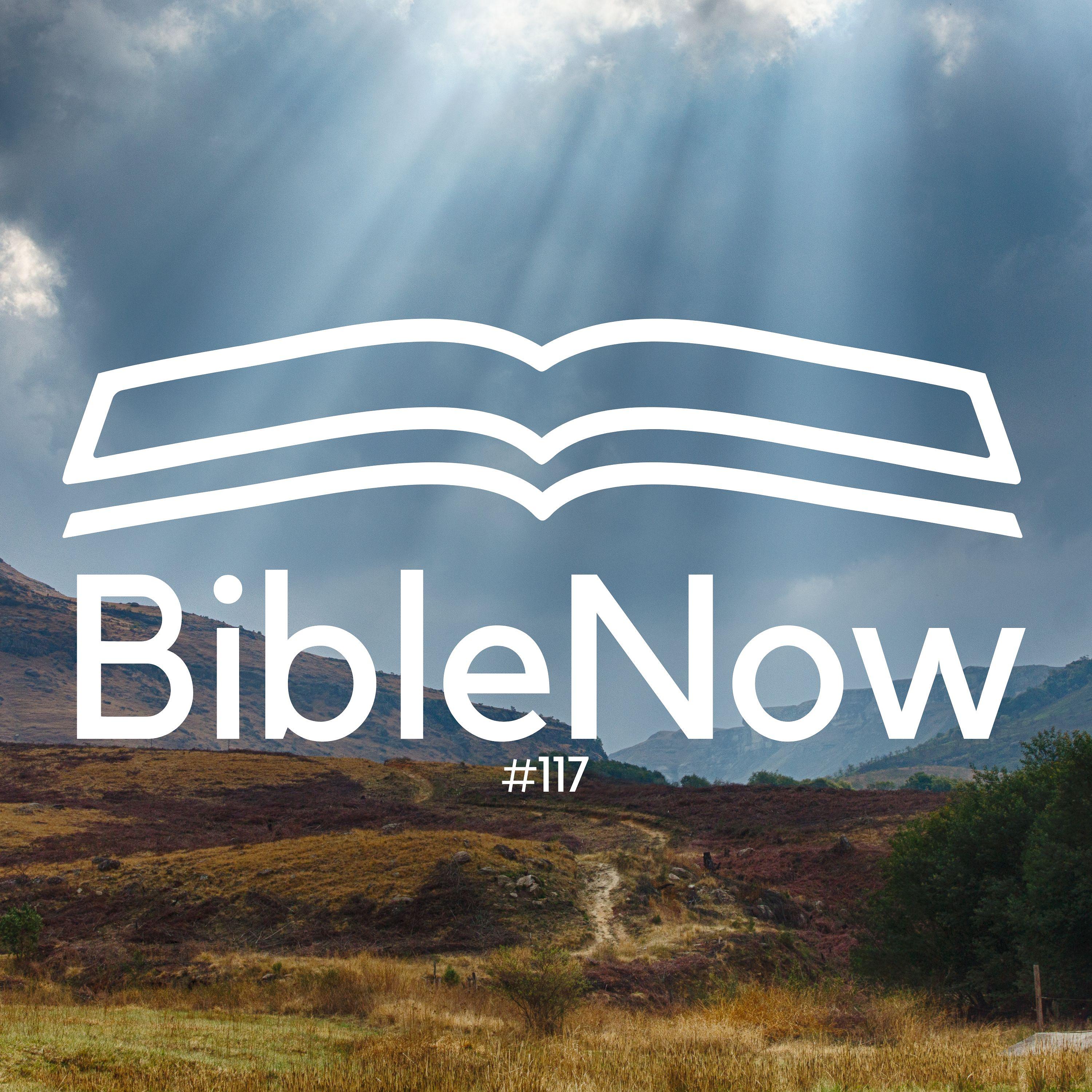 BibleNow #117: 3. Mose 20,24-21,24 episode artwork