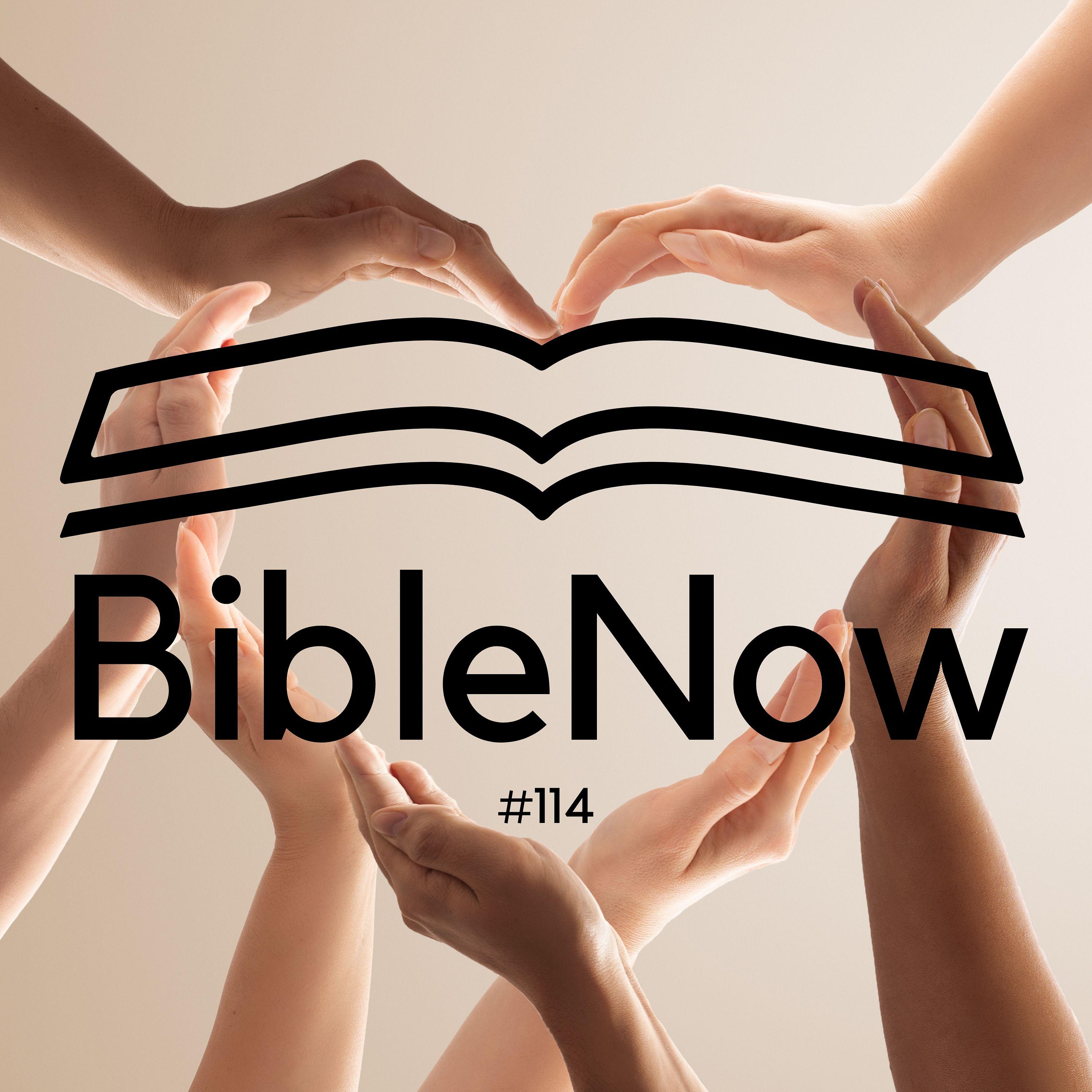 BibleNow #114: 3. Mose 18,23-19,18 episode artwork