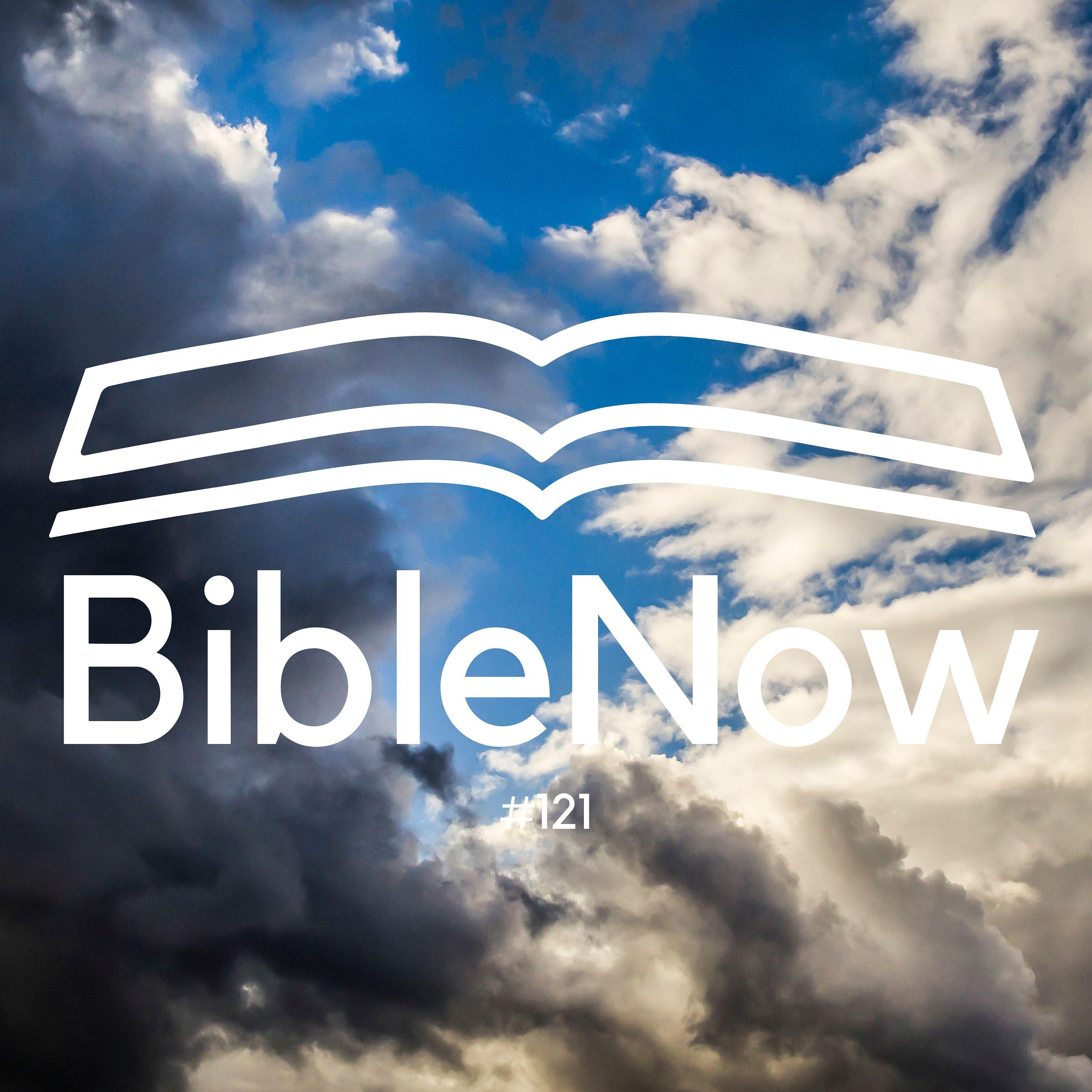 BibleNow #121: 3. Mose 24,17-25,19 episode artwork