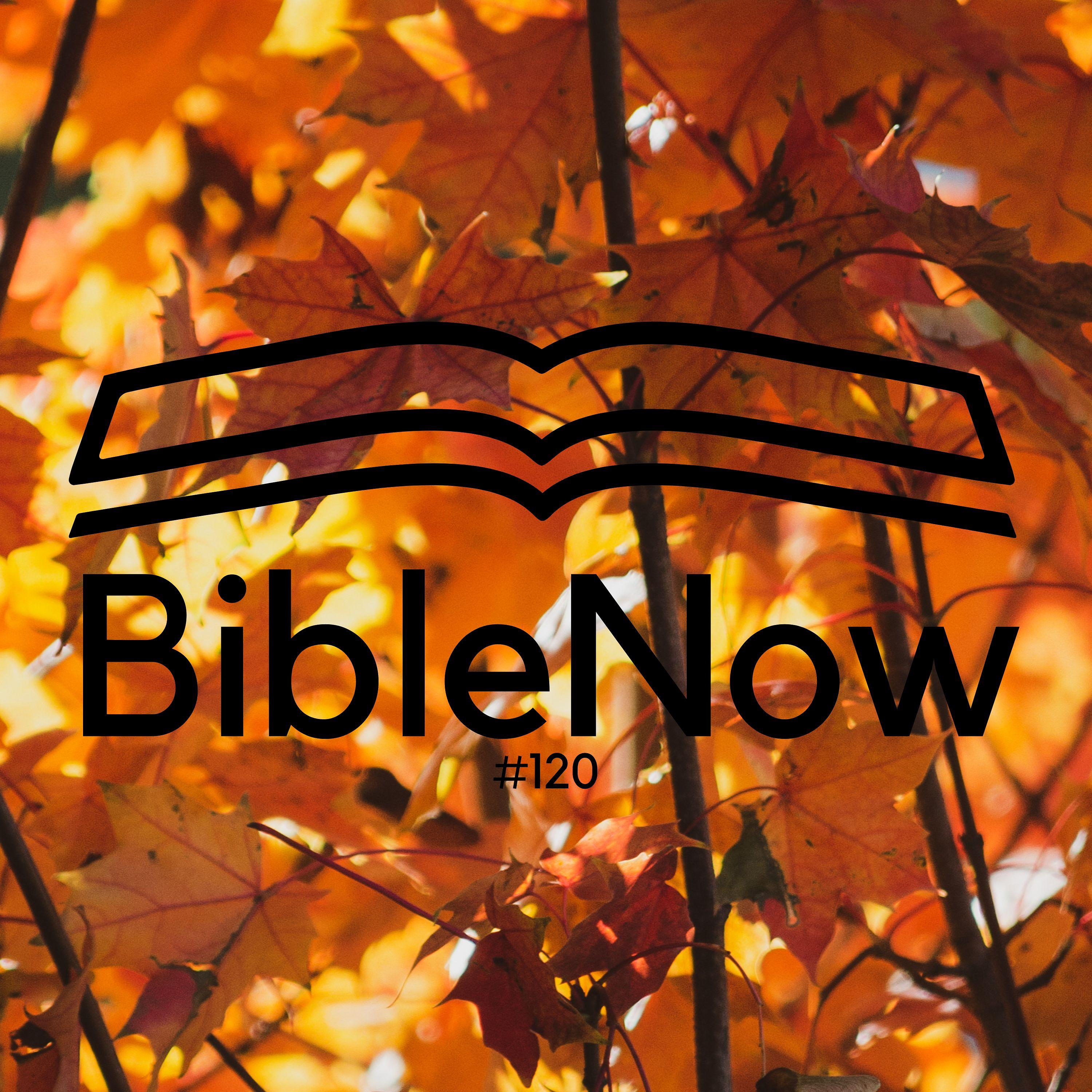 BibleNow #120: 3. Mose 23,26-24,16 episode artwork