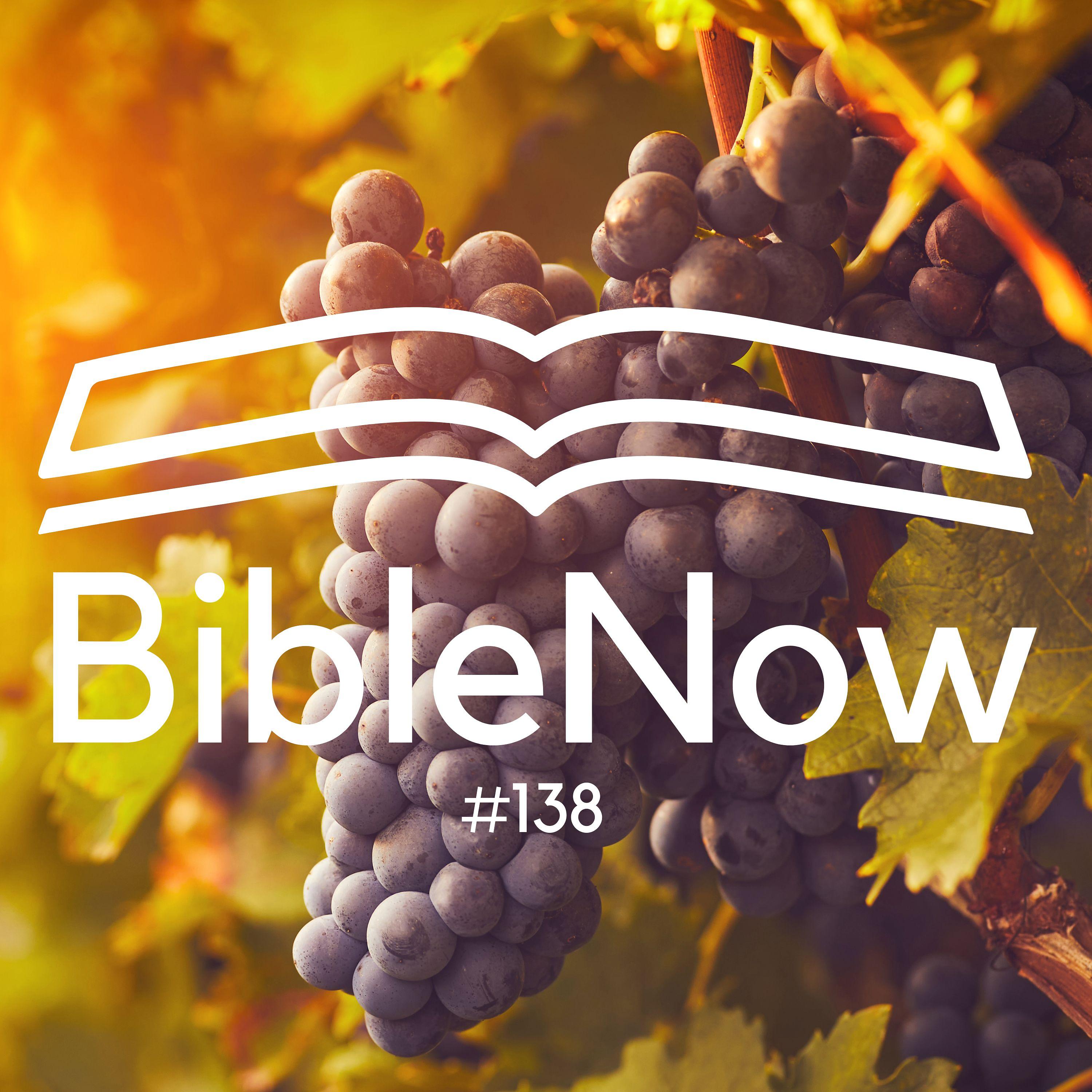 BibleNow #138: 4. Mose 13,1-14,25 episode artwork