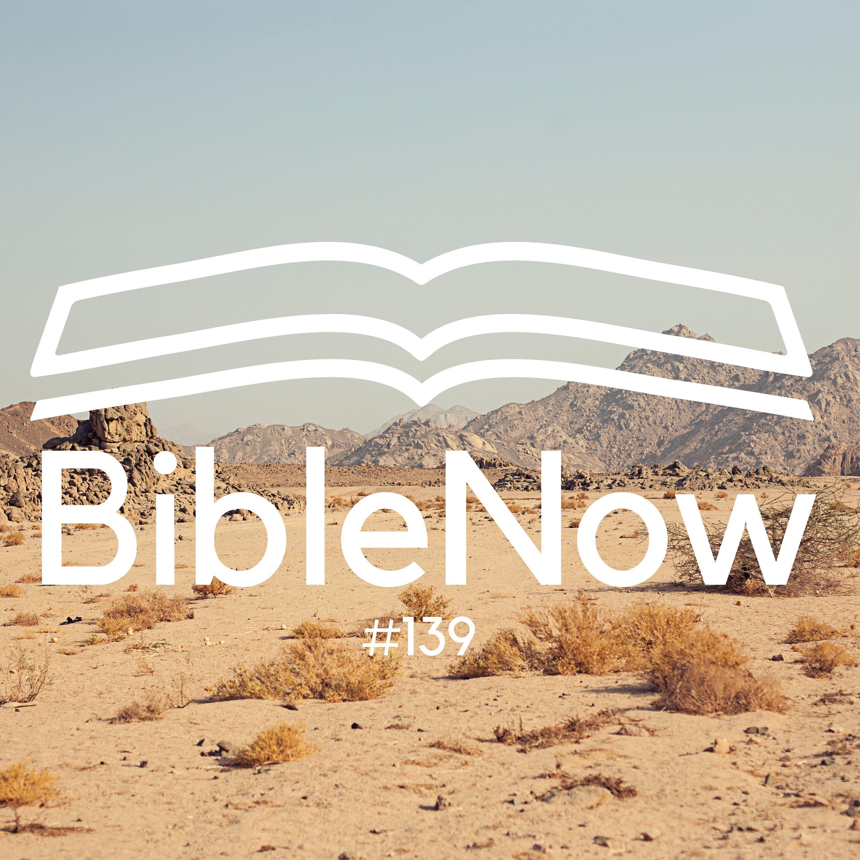 BibleNow #139: 4. Mose 14,26-15,16 episode artwork