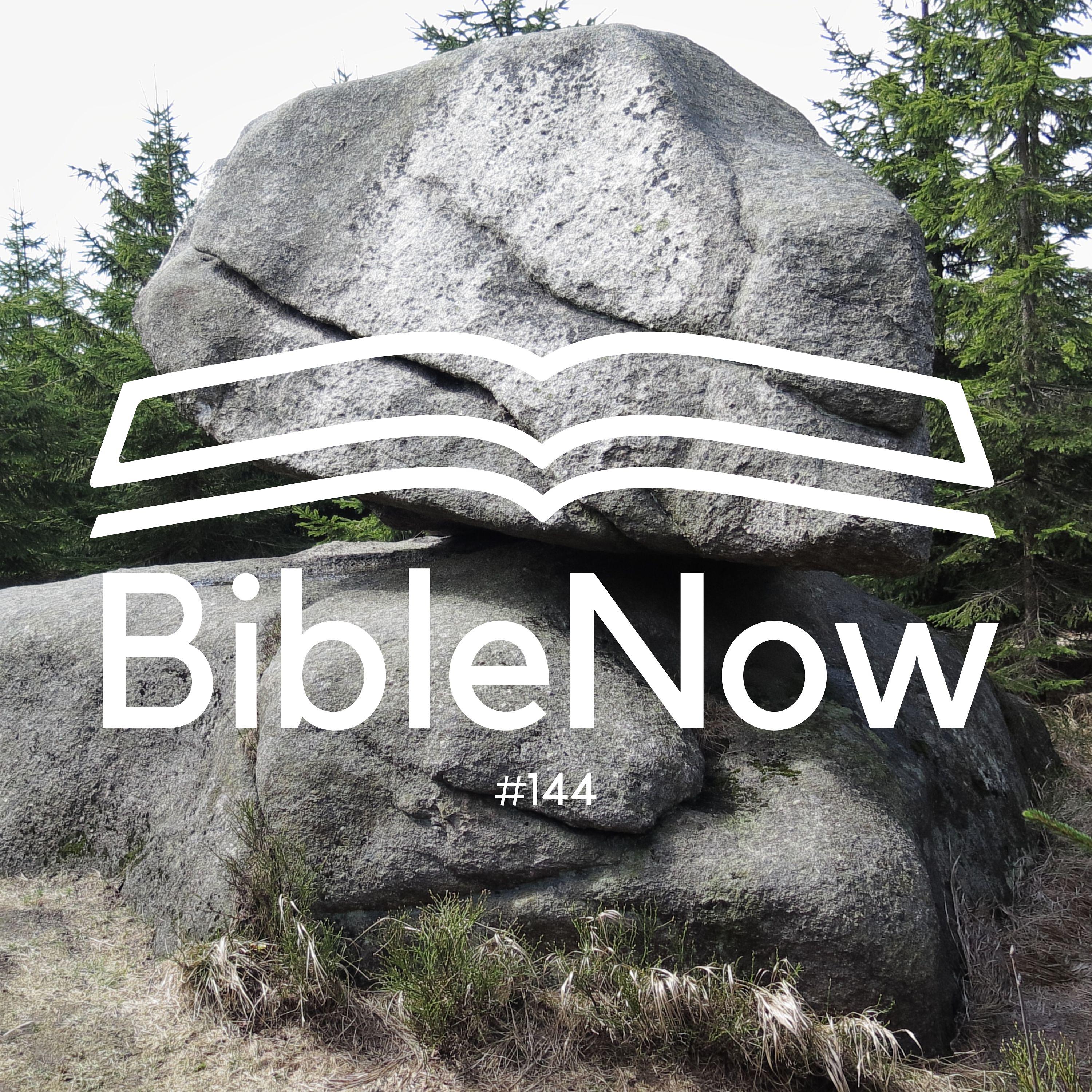 BibleNow #144: 4. Mose 19,1-20,13 episode artwork