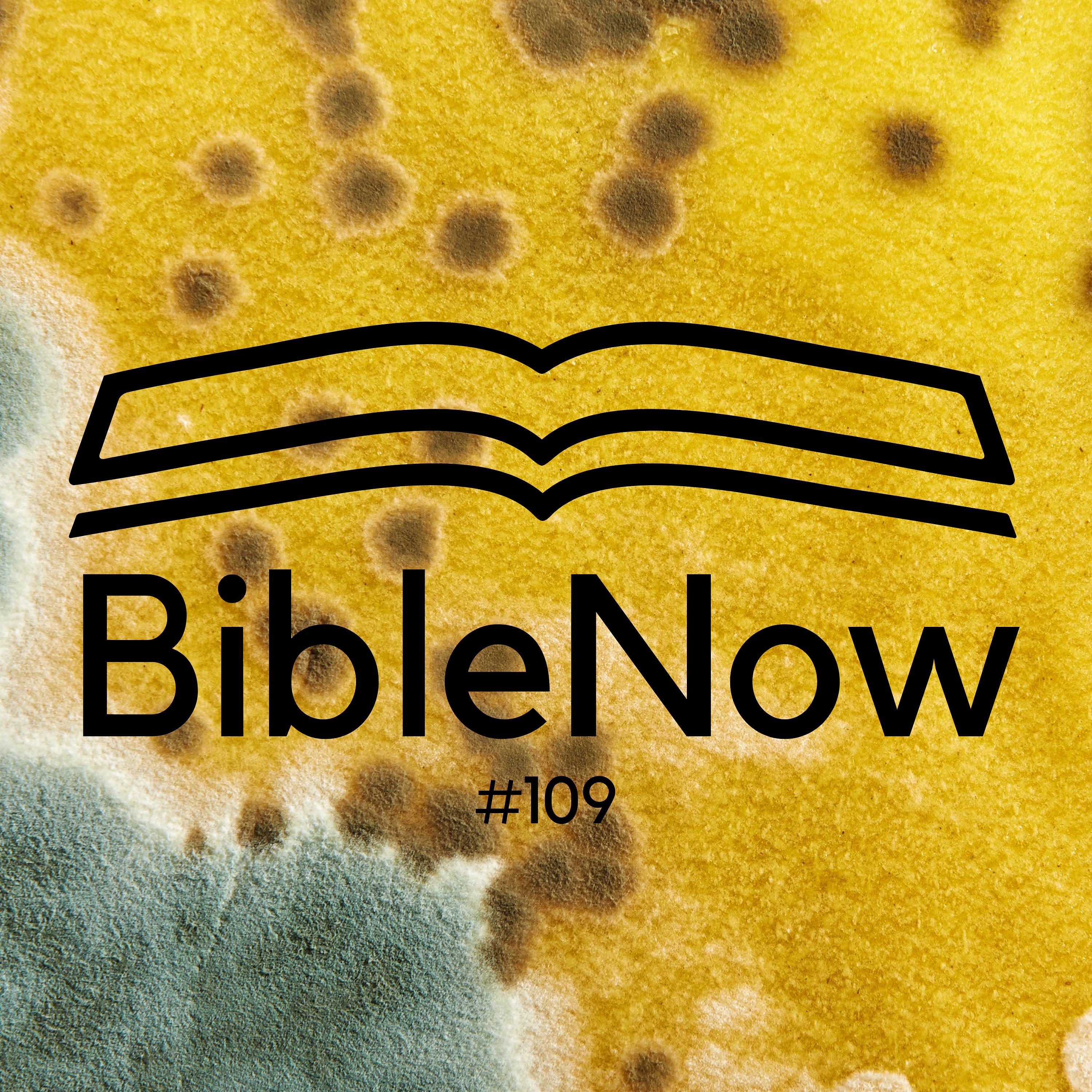 BibleNow #109: 3. Mose 13,47-14,57 episode artwork