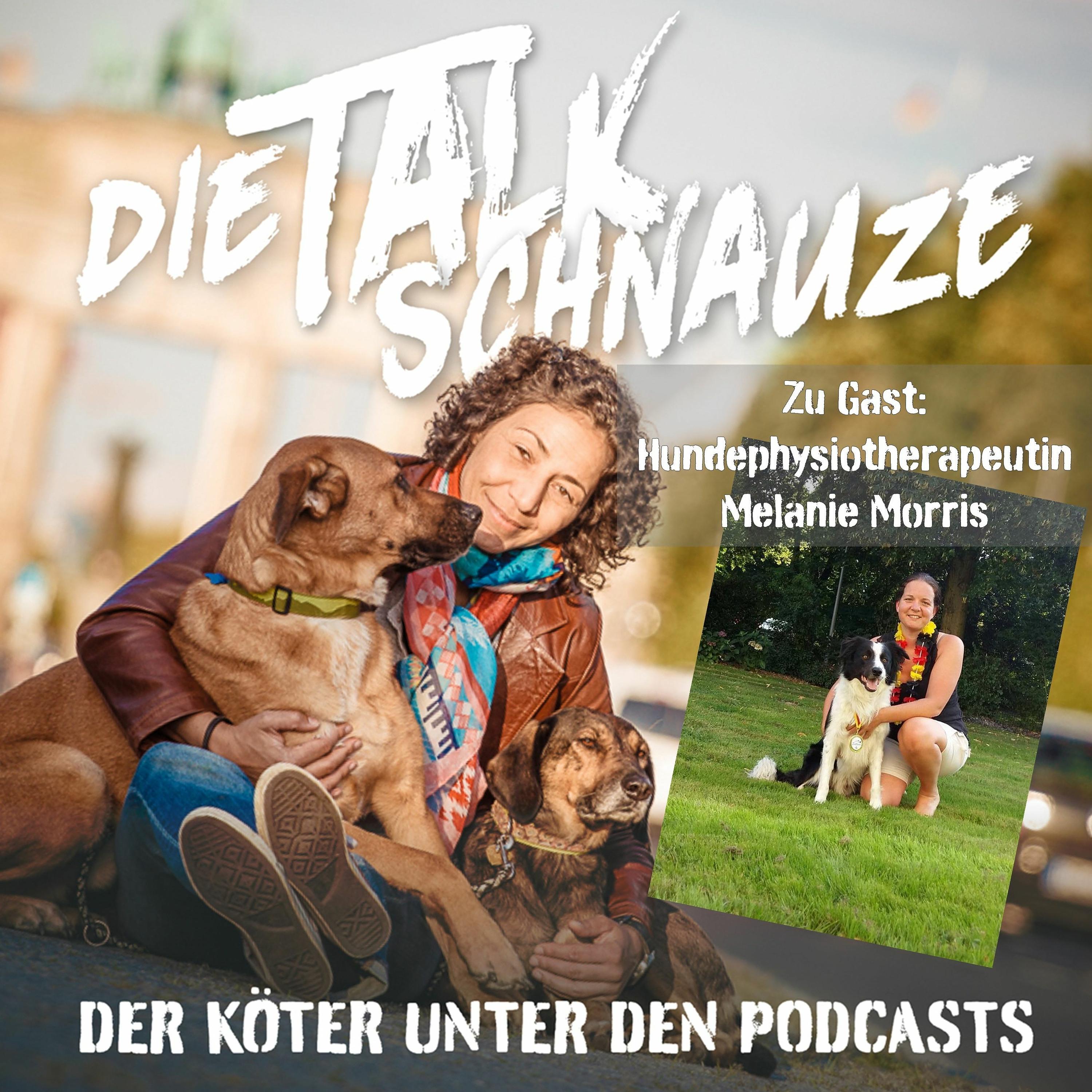 Die Talkschnauzen