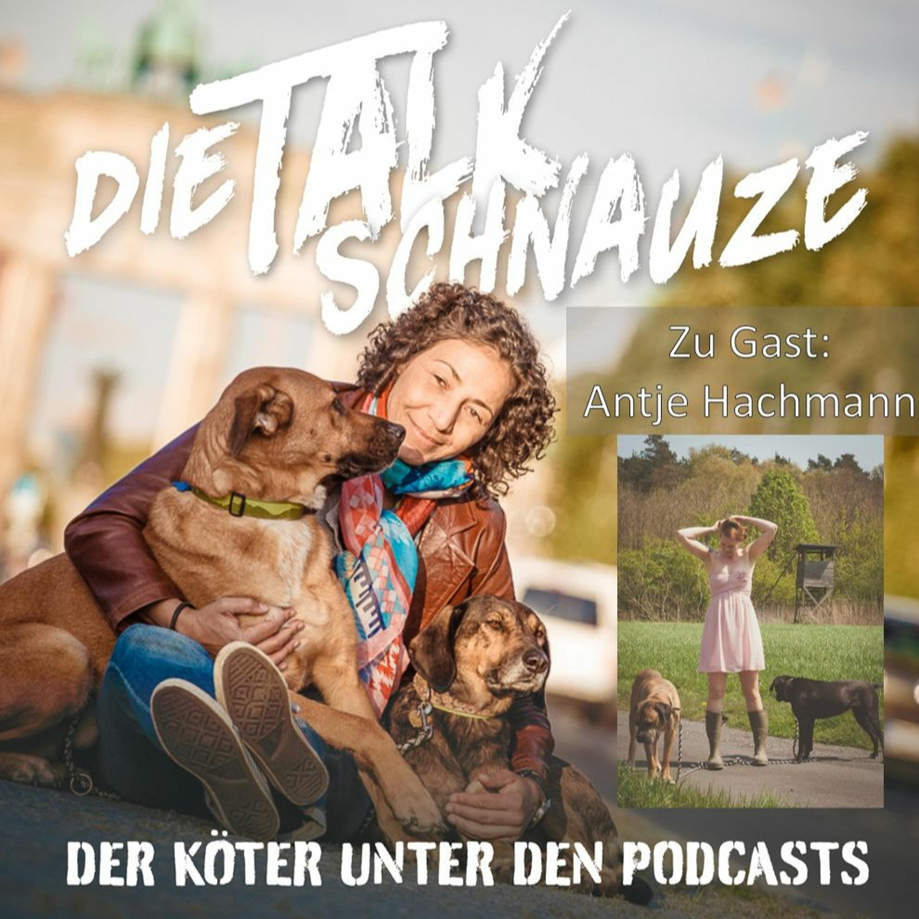 Die Talkschnauzen