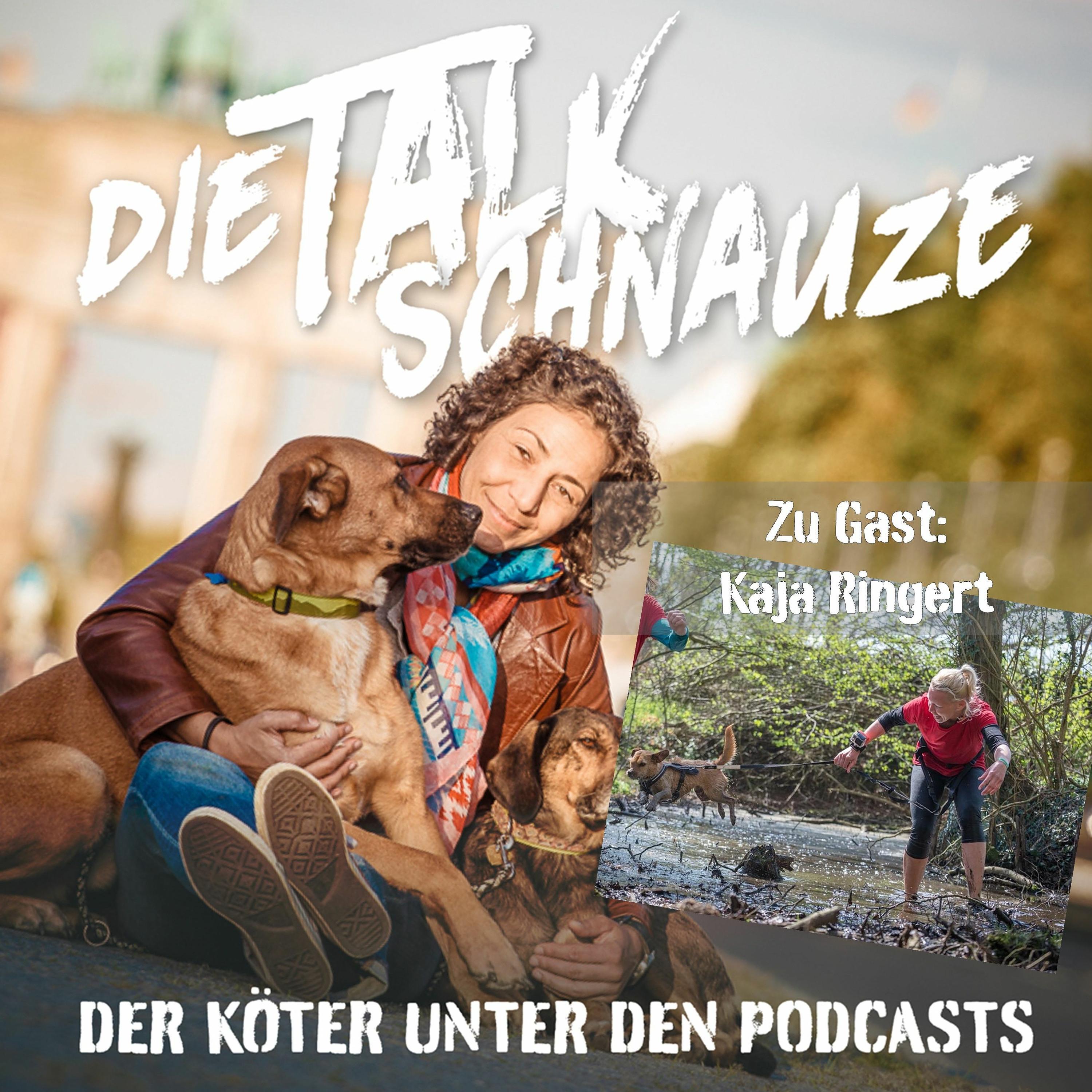 Die Talkschnauzen