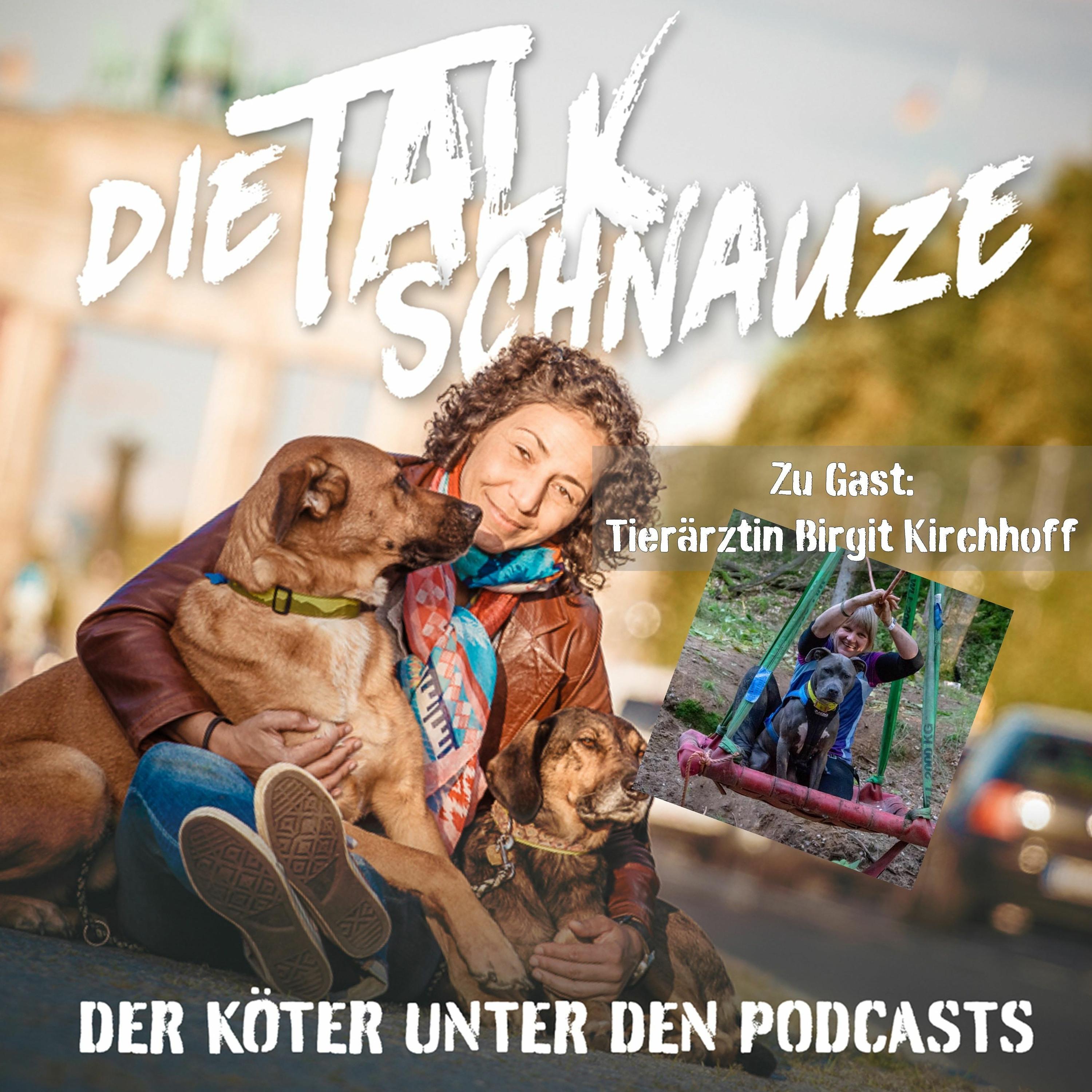 Die Talkschnauzen